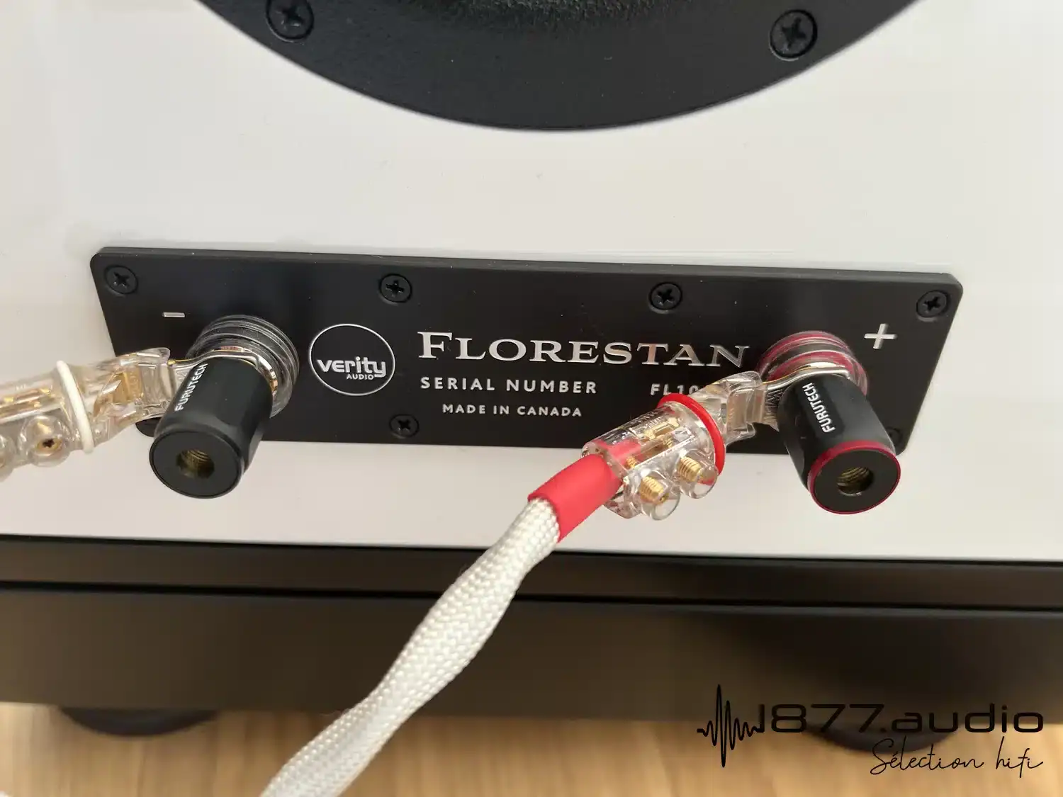 Verity Audio Florestan bornier et connexion