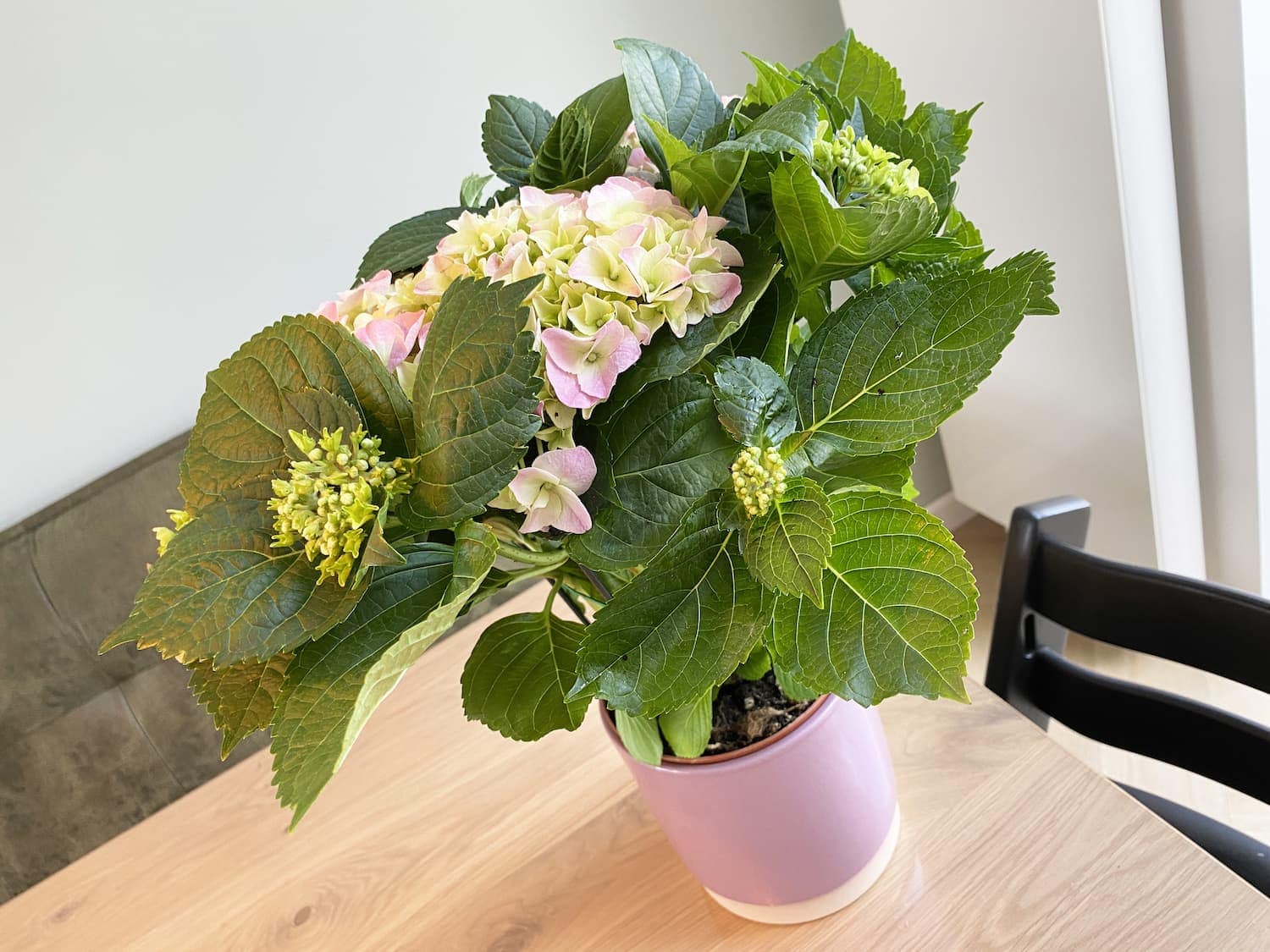 Moederdag Blogbox XXL