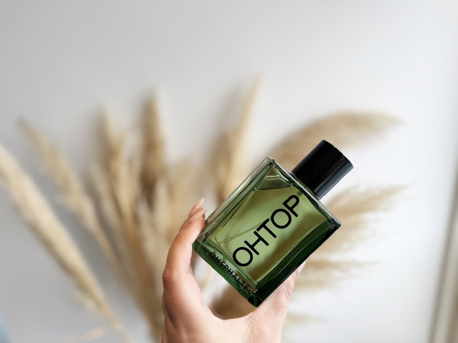 OHTOP Osphalte