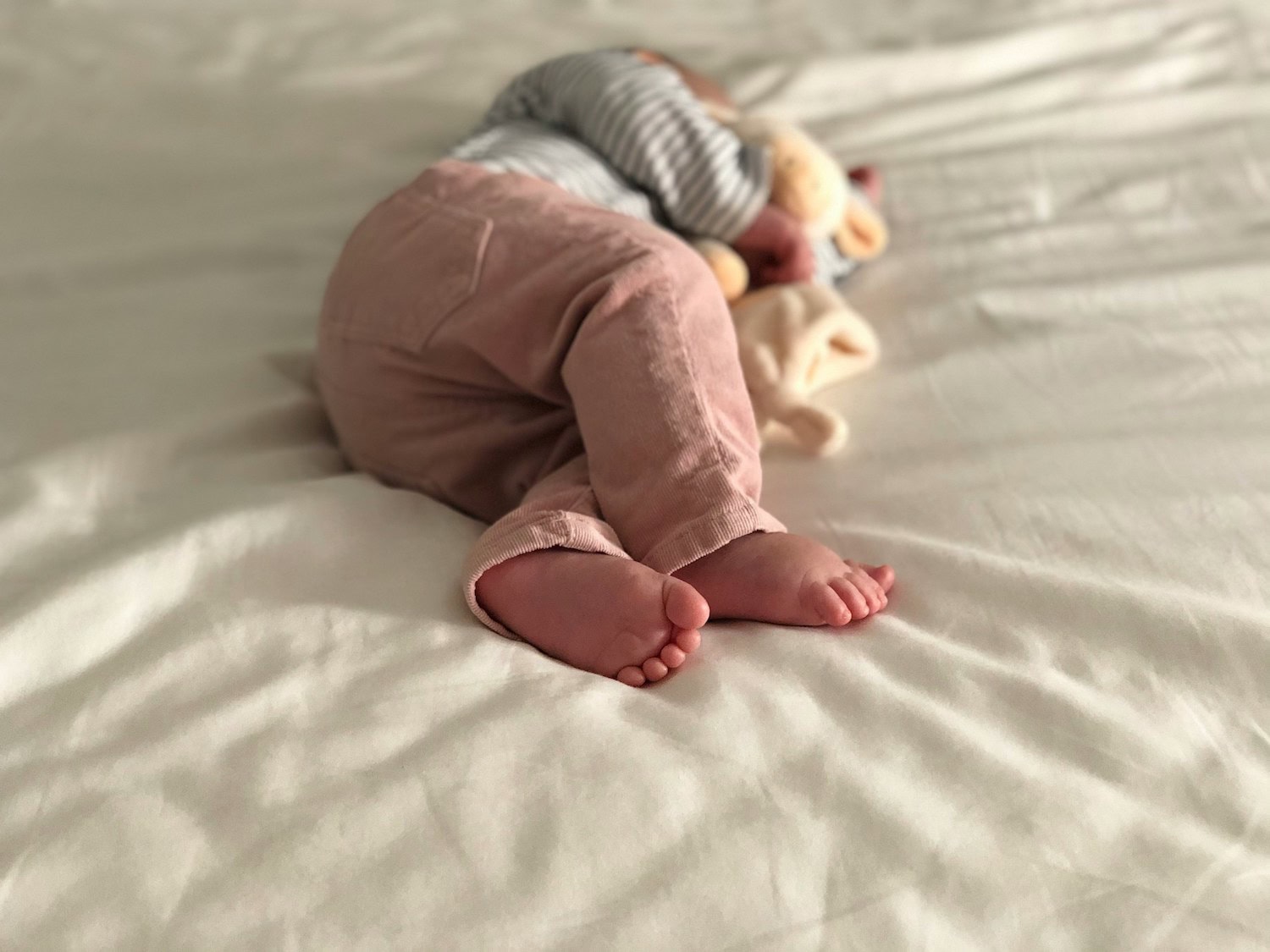 de perfecte babyfoon