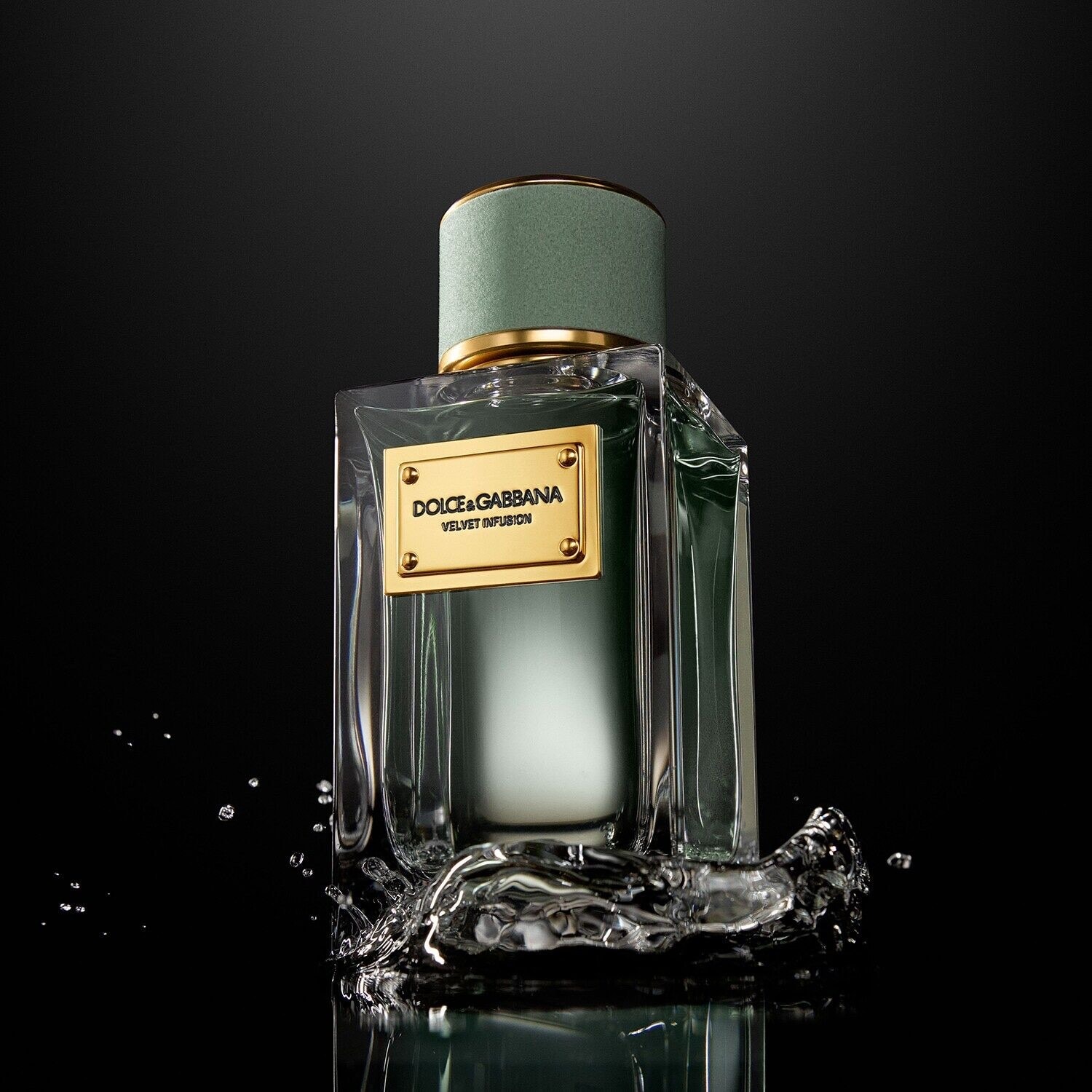 Dolce & Gabbana Velvet Infusion Eau de Parfum 2024