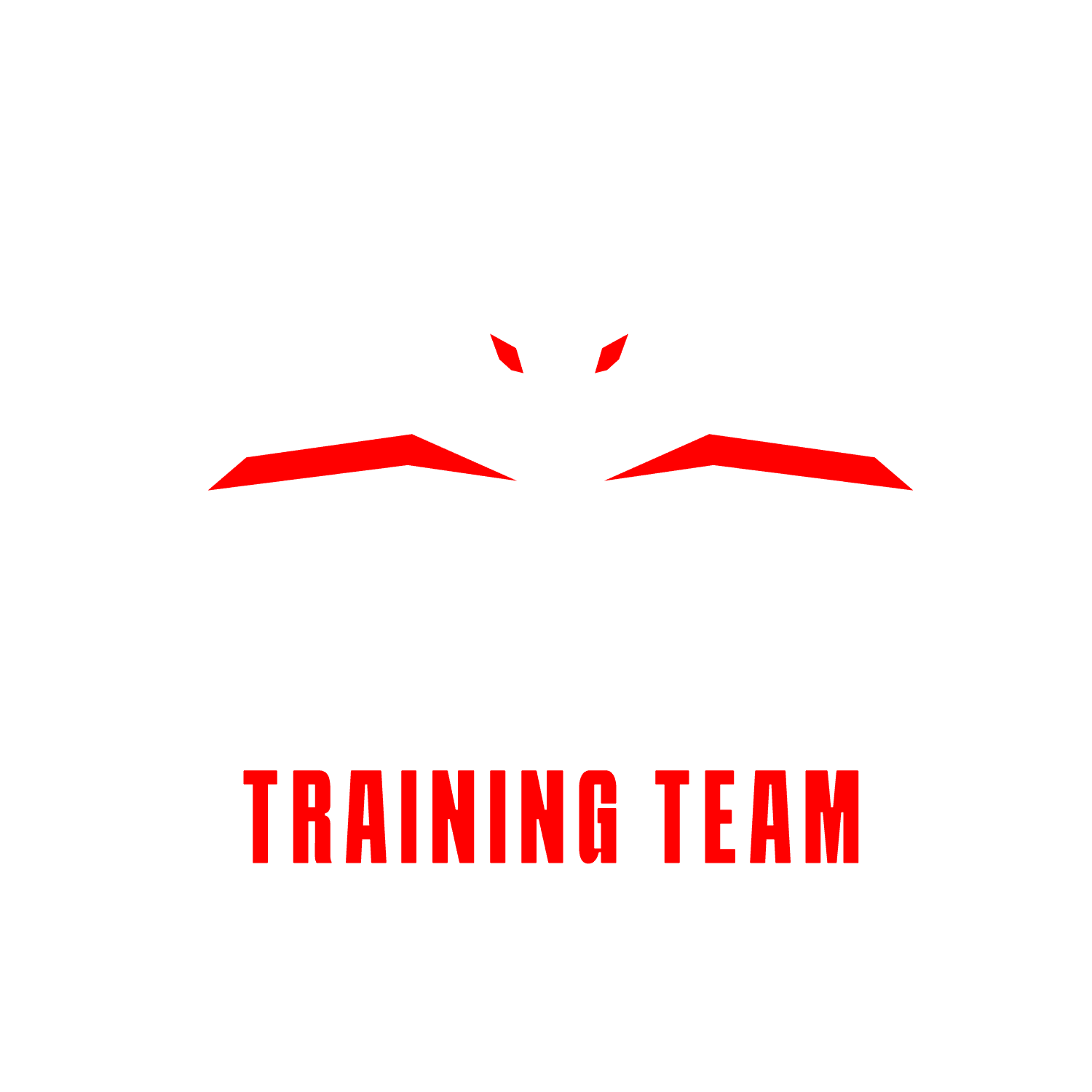 Combat Training Team