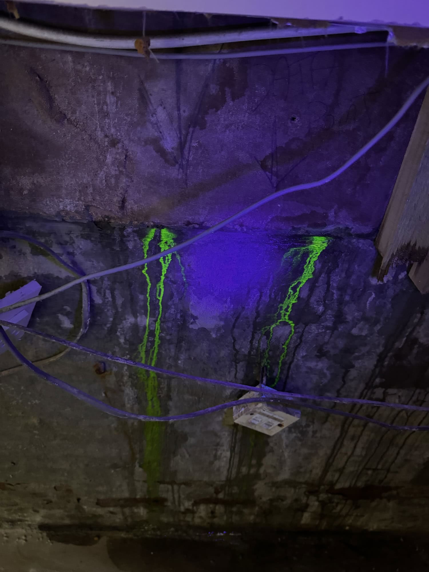 Leak detection of Giffnock business