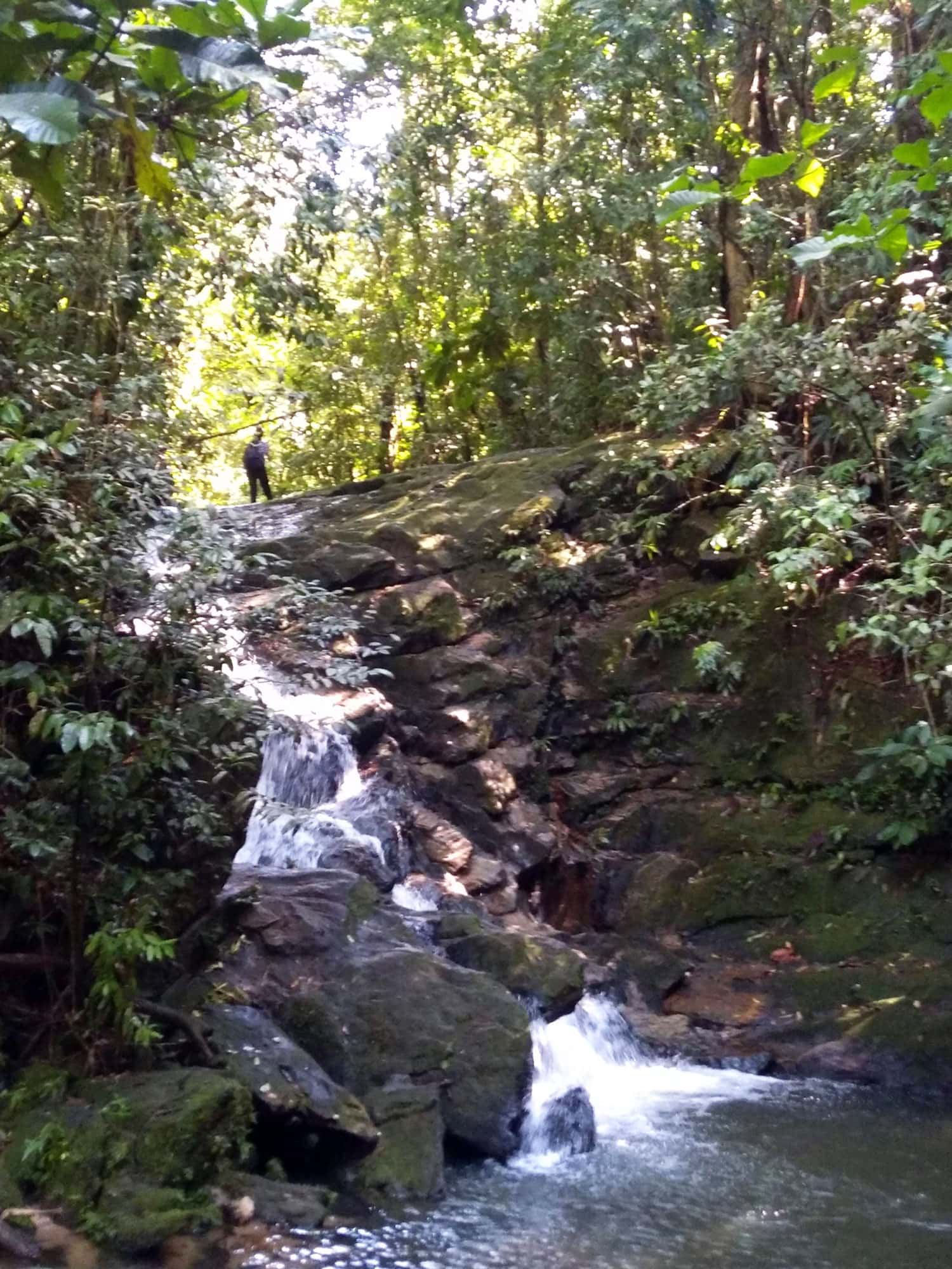 Cachoeira do Camburizinho