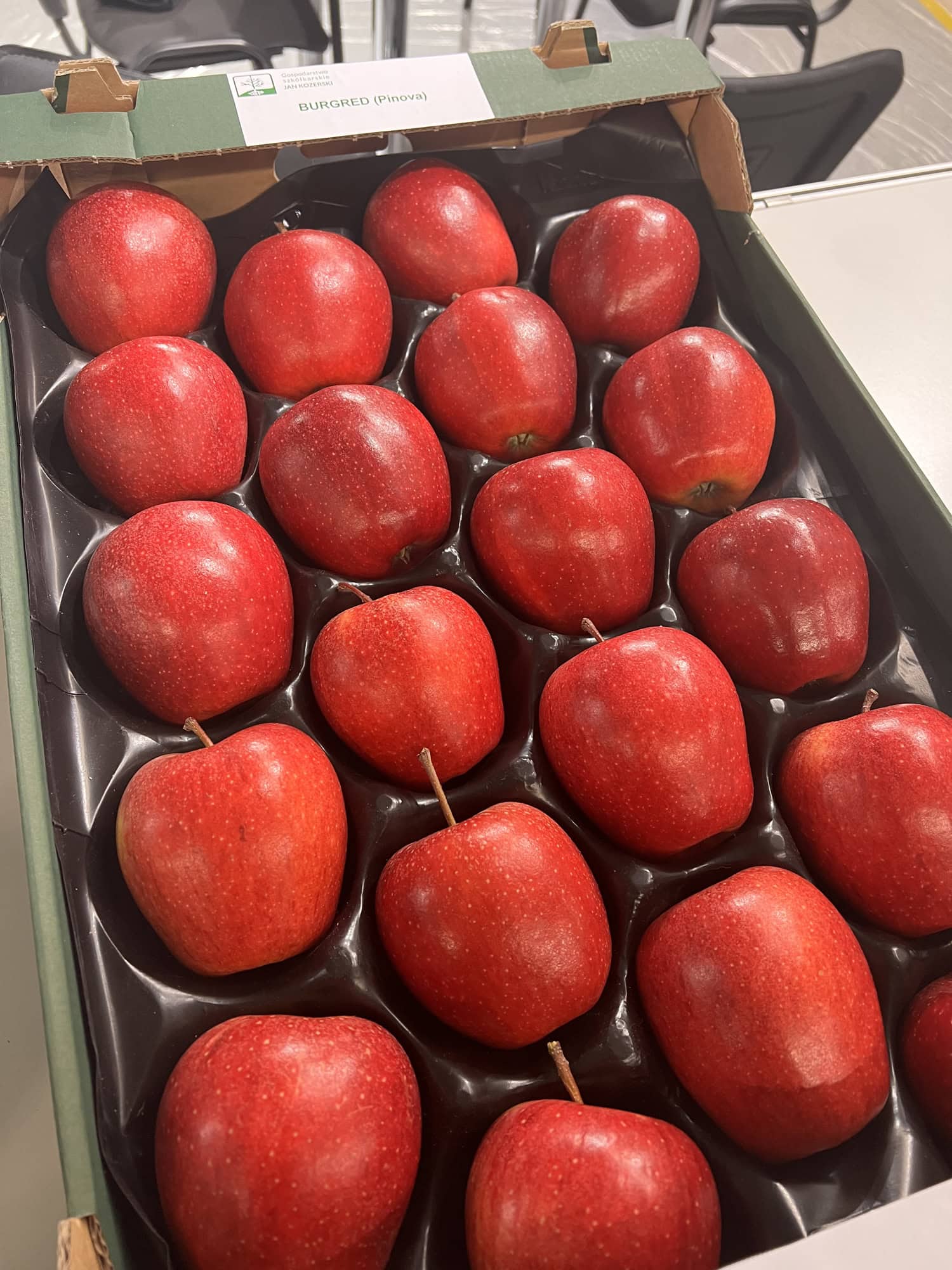 Burgred - Mutant odmiany Pinova