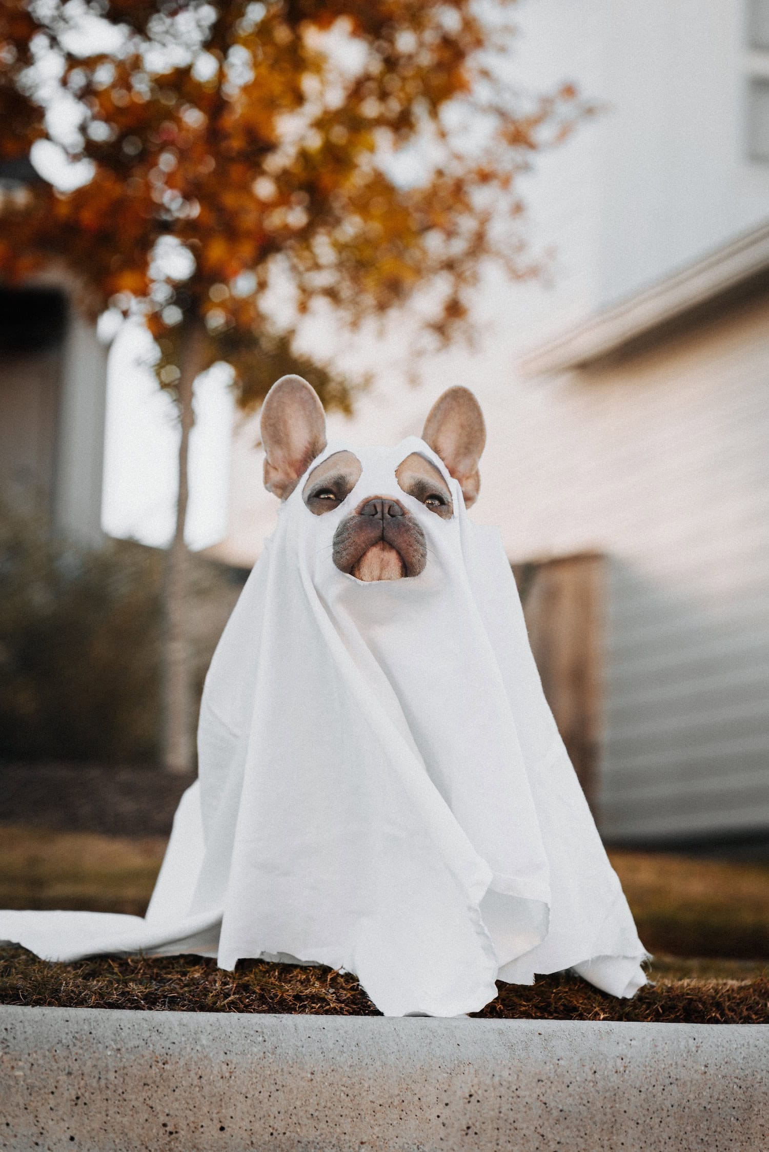 Maak zelf jouw Halloween outfit!