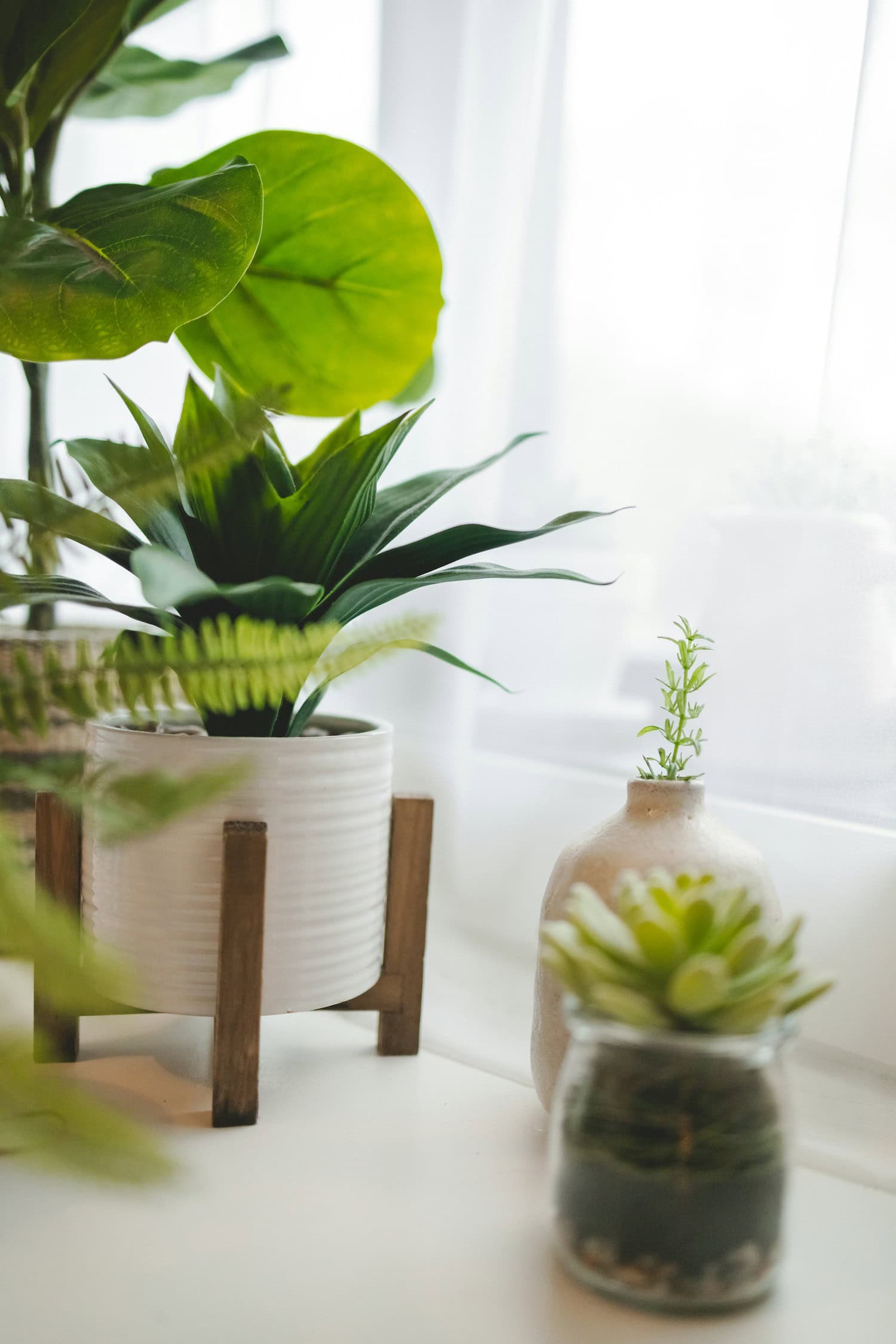 kunstplanten