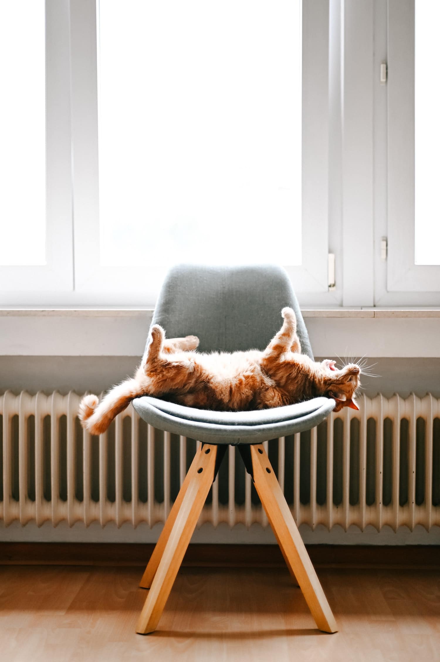 Verwarm je woning in stijl met deze tip