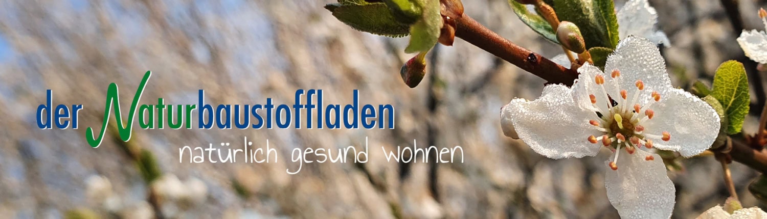 Banner mit weißer Obstblüte auf Zweig, Schriftzug „der Naturbaustoffladen“ und dem Slogan „natürlich gesund wohnen“.