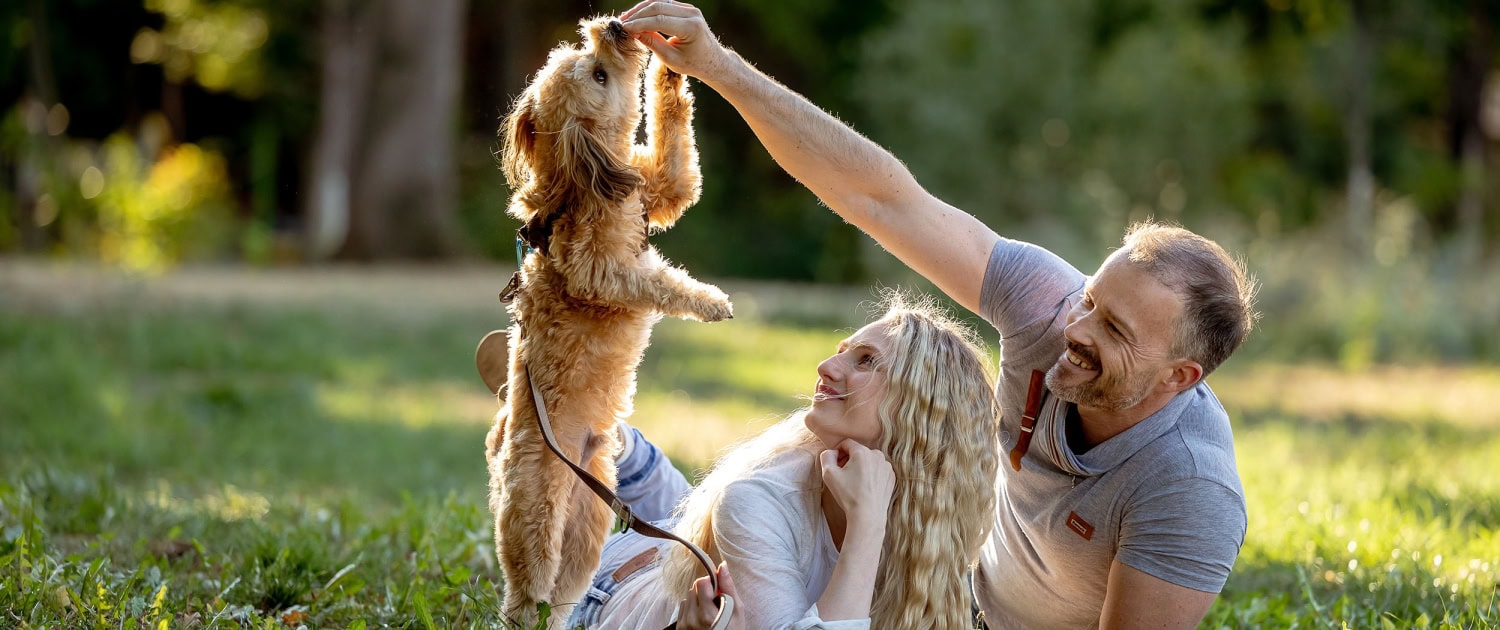 Ein Paar (Mann und Frau) entspannen auf einer sonnigen Wiese und interagieren liebevoll mit ihrem kleinen, hellbraunen Hund, der gerade ein Leckerli bekommt fotografiert in Erfurt mit der Canon EOS R6 & dem RF70-200 F2.8