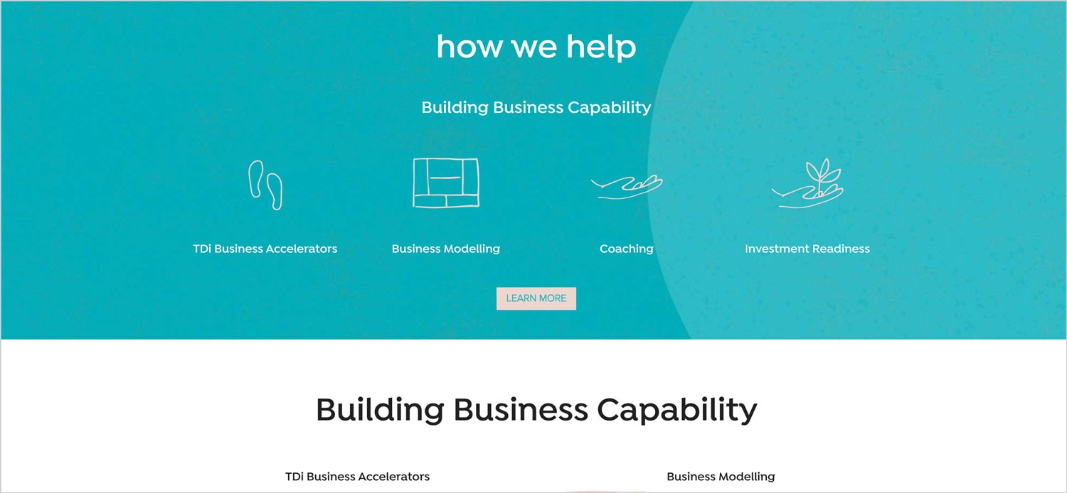 website_design_mornington_tdi-showcase-illustrations