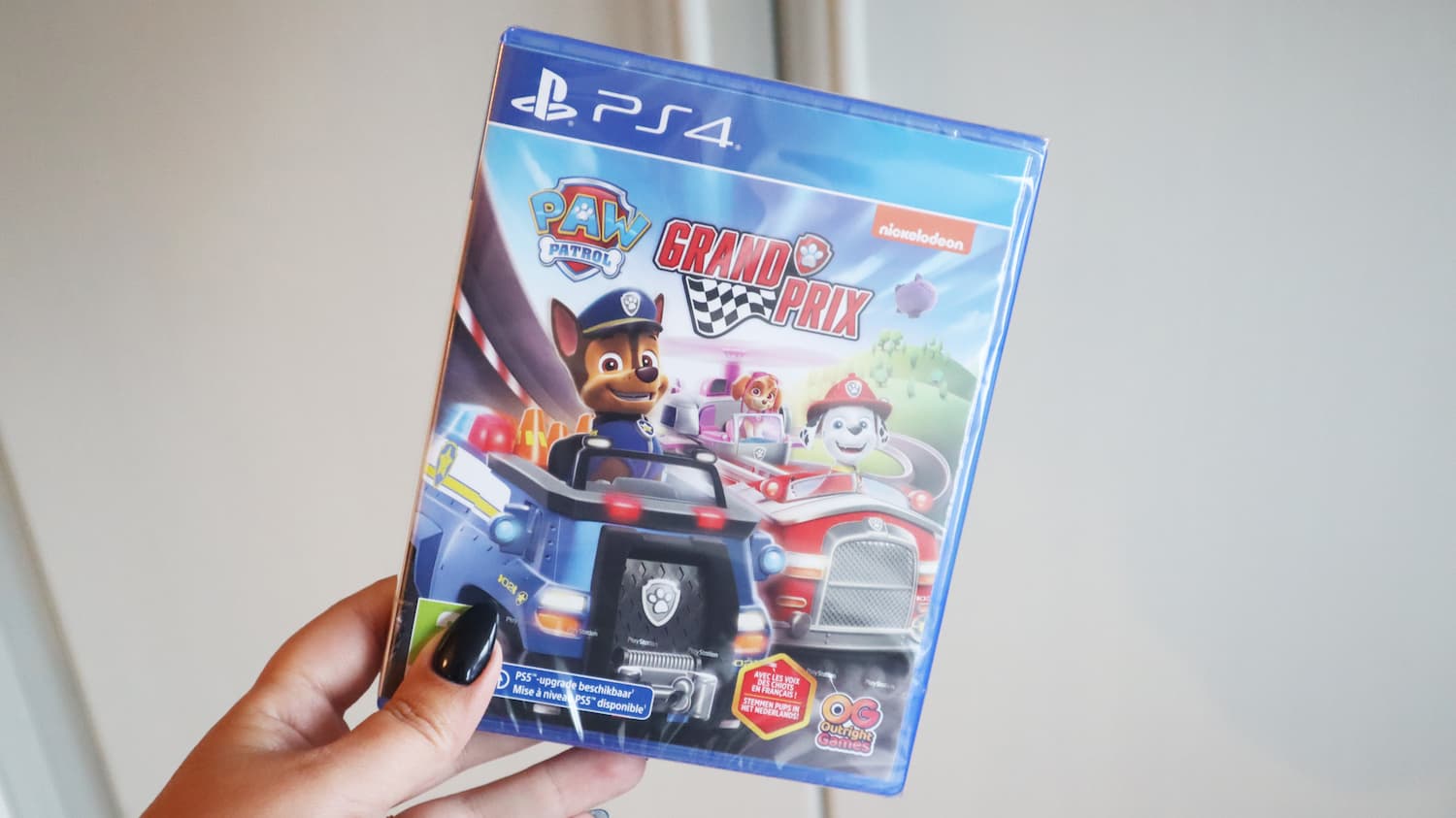 Paw Patrol Grand Prix