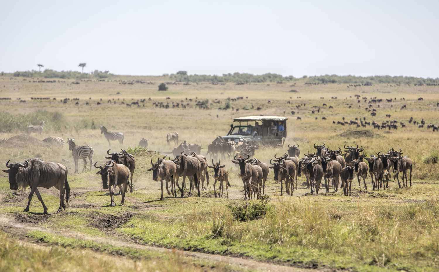 Masai Mara National Park