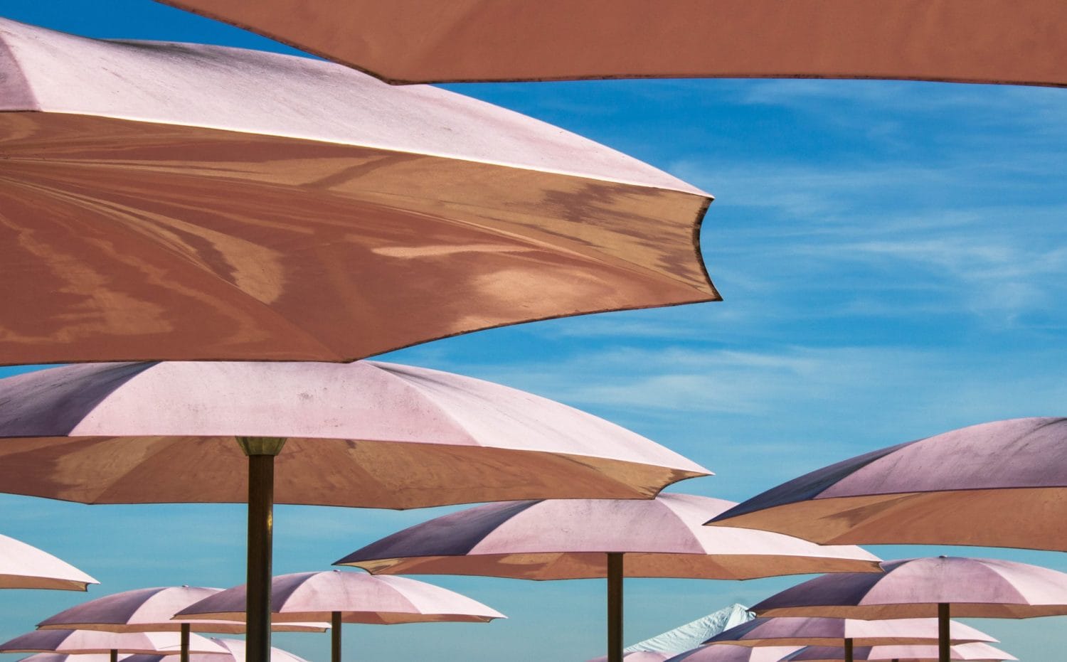 parasol