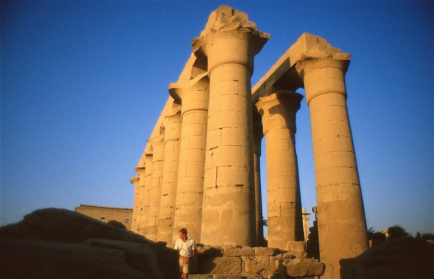 Papyrus columns in Amenhotep III’s Great Colonnade