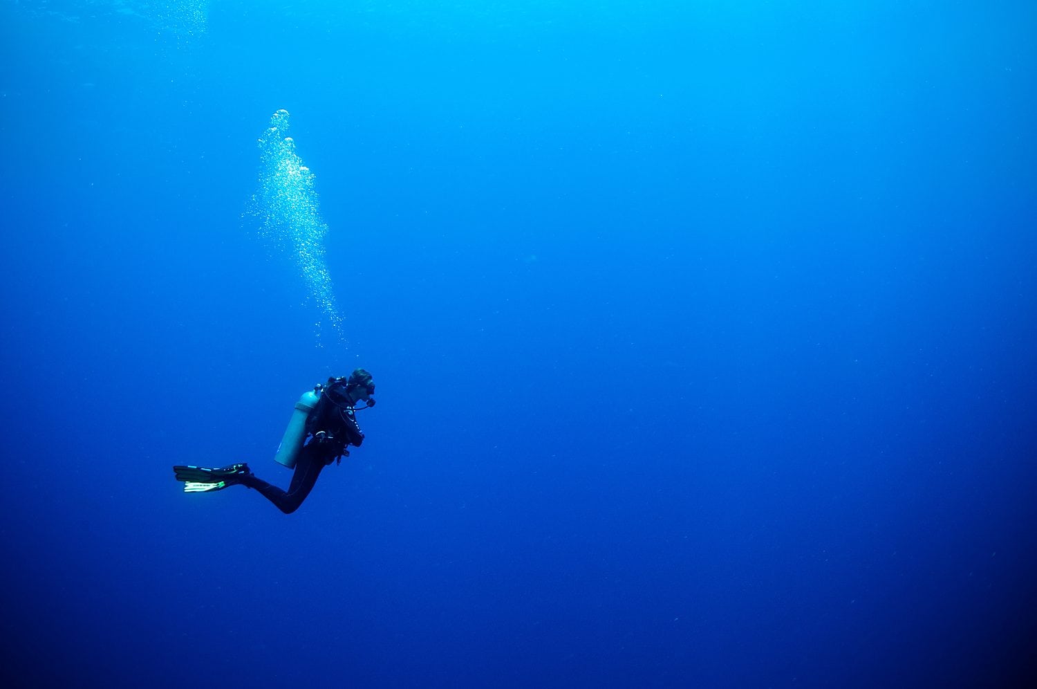 Plongée exploration, fond marin — Dakar, Sénégal