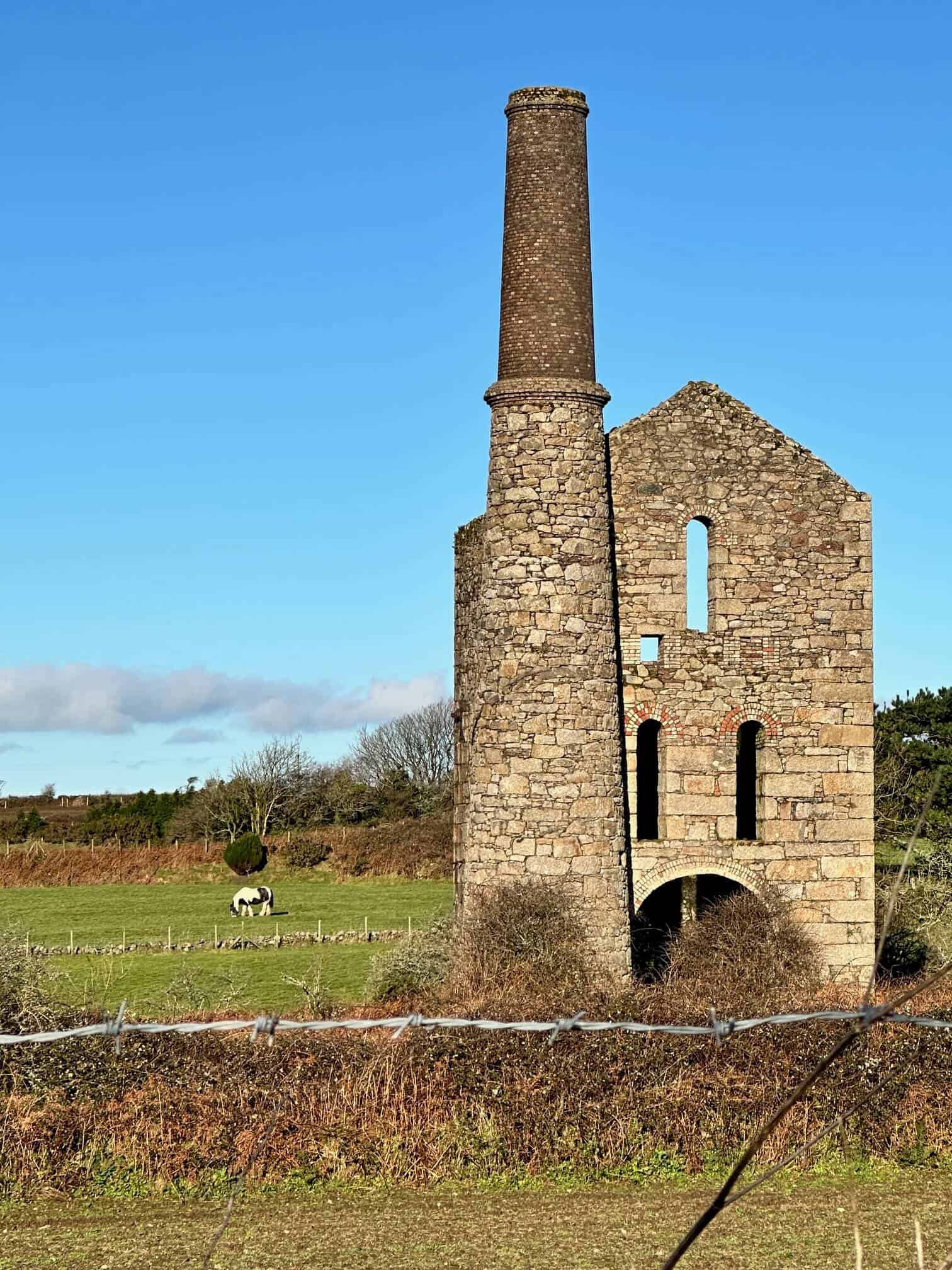 When and How to Reintroduce Grazing For Horses