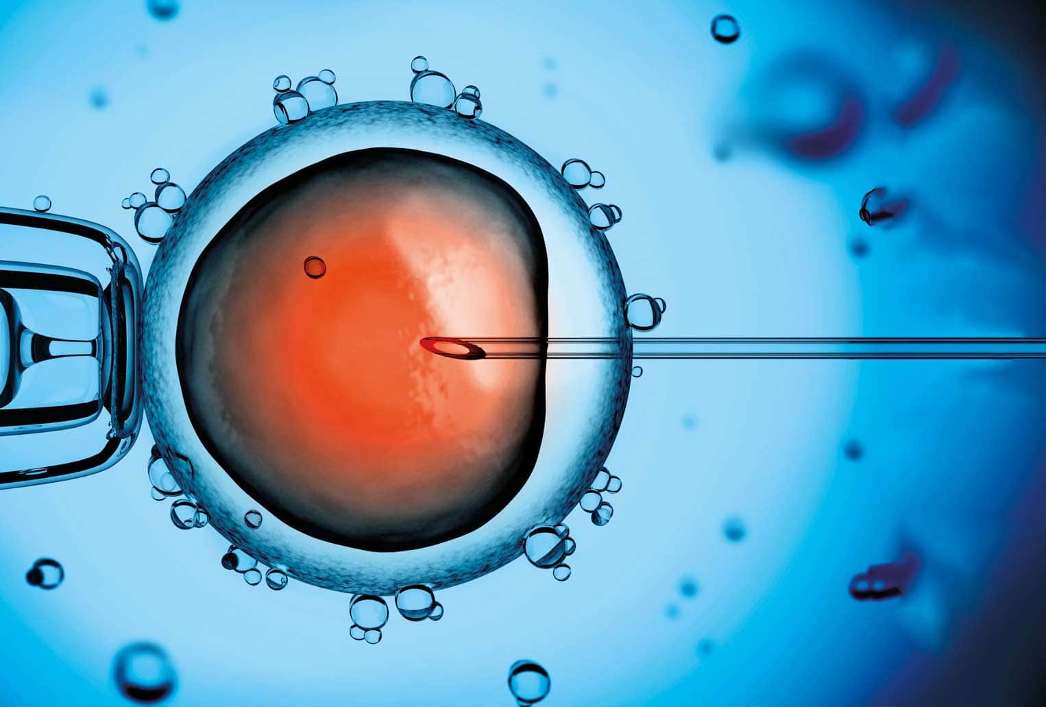 Wizualizacja mikroskopowego obrazu procedury in vitro