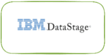 IBM Data logosu