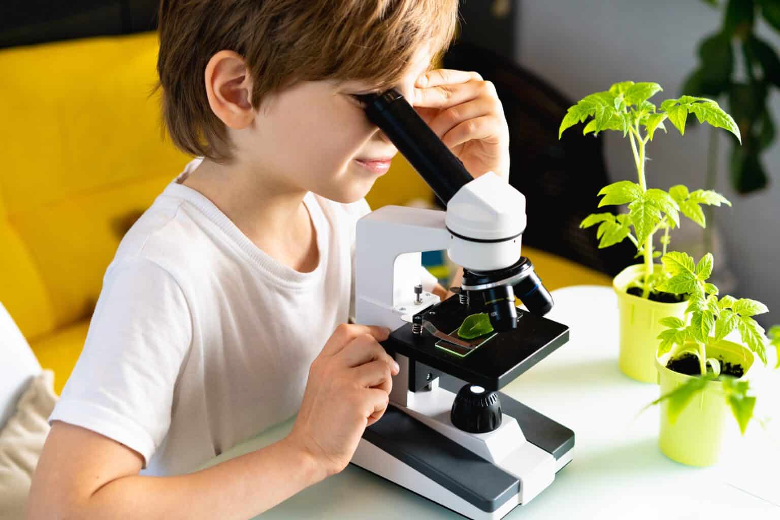 A Small Boy Yaking A Closer Look At Plants Thru A Microscope