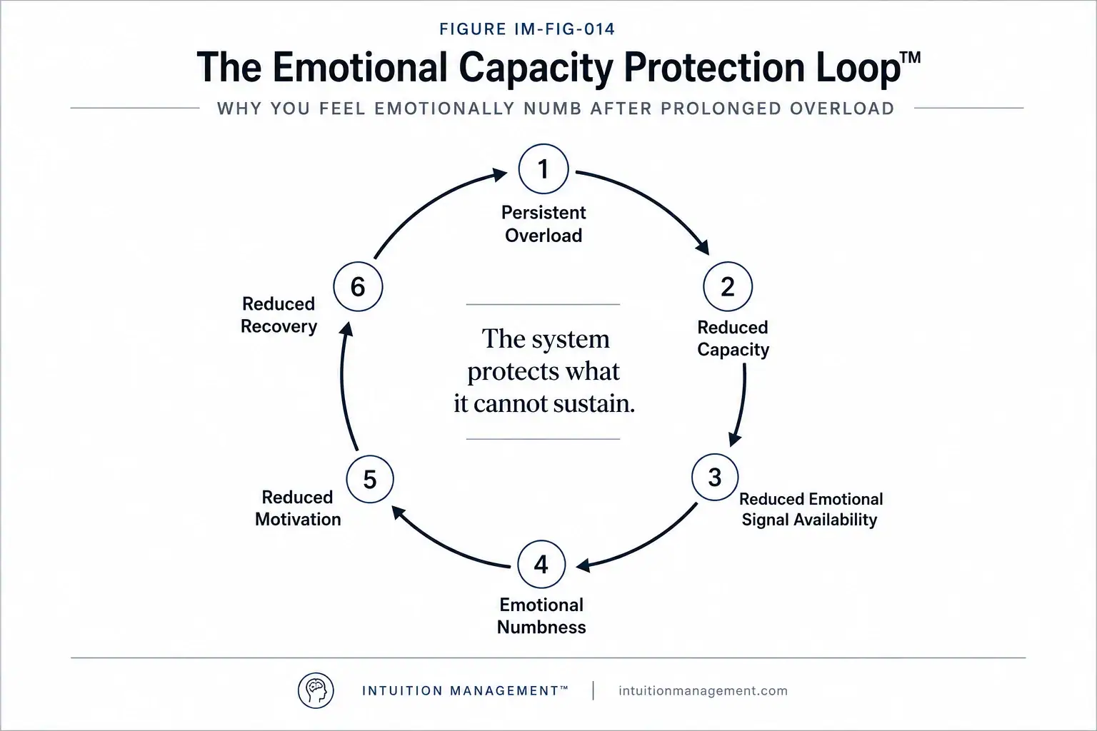 The Emotional Capacity Protection Loop showing how persistent overload can reduce emotional signal availability and slow recovery.