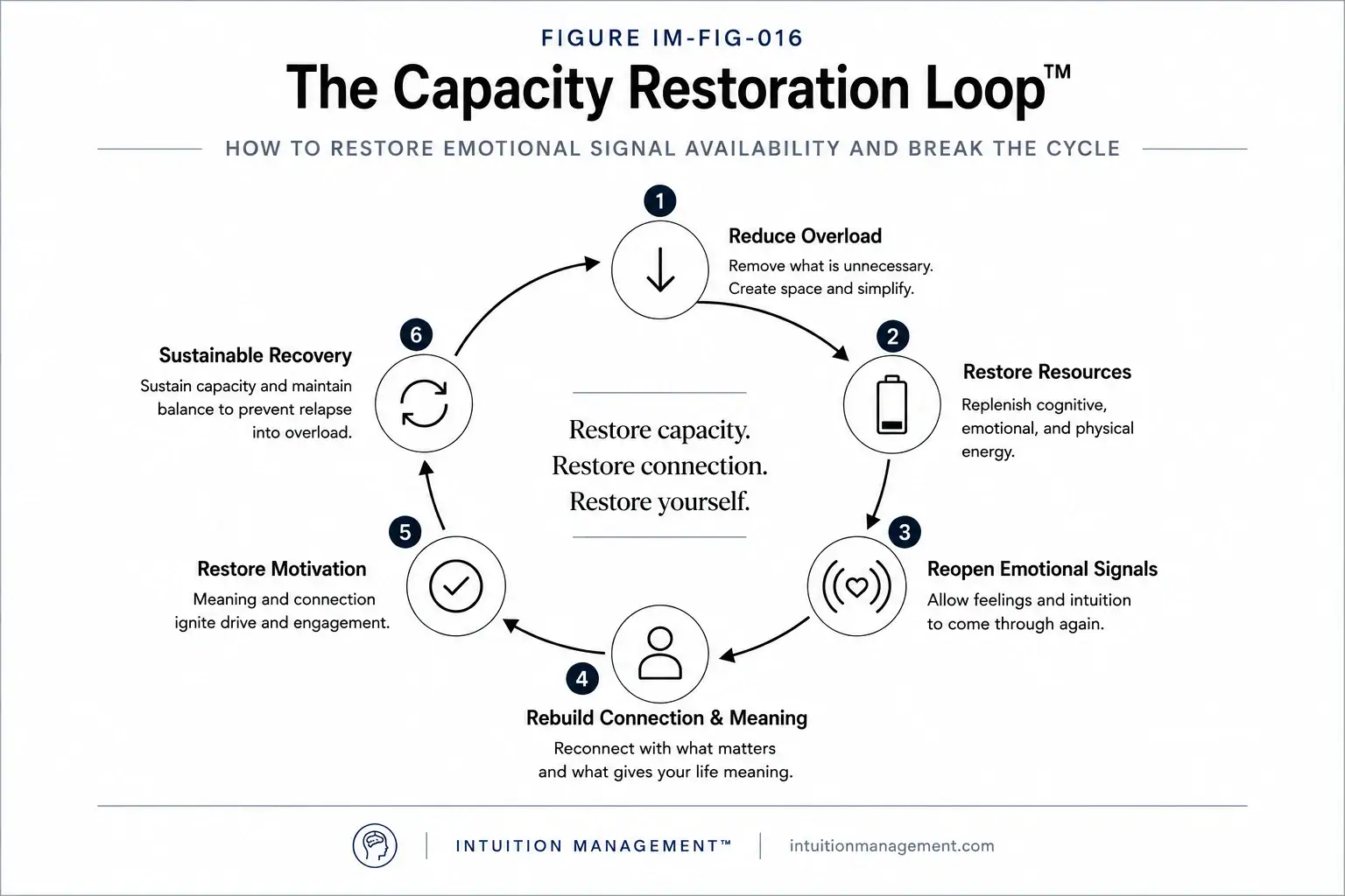 The Capacity Restoration Loop showing the gradual return of emotional signal availability through reduced overload and restored resources.