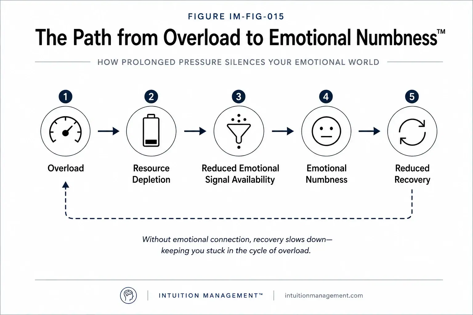 The path from overload to emotional numbness, from resource depletion and signal filtering to reduced recovery.