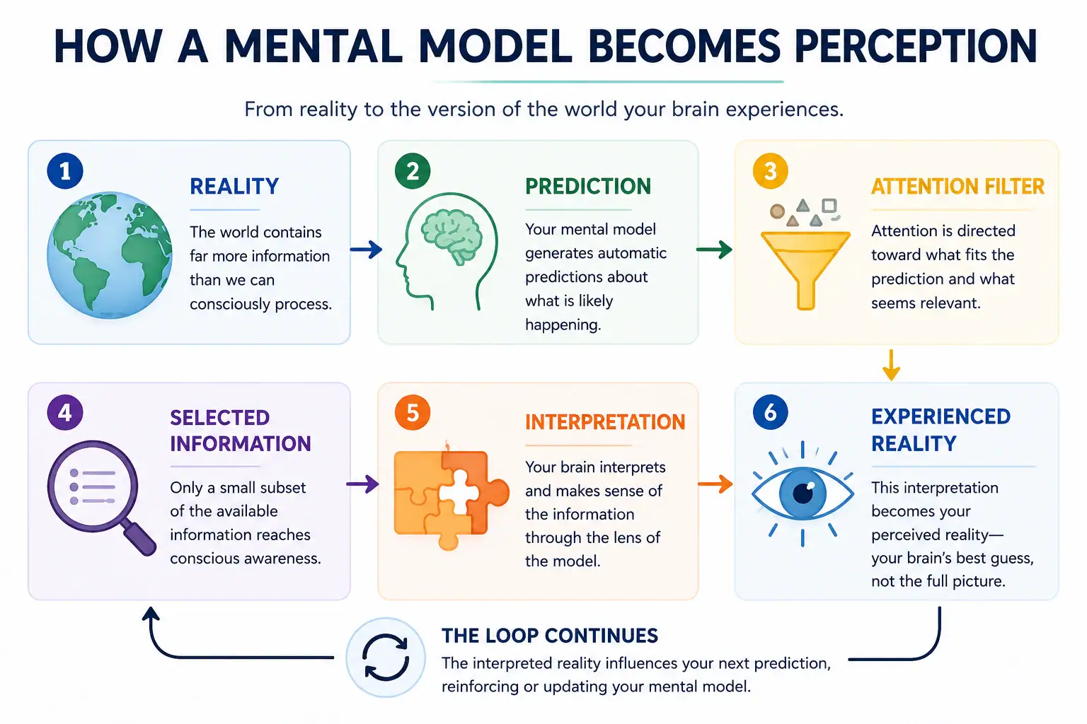 How a mental model becomes perception through prediction, attention, selected information, interpretation, and experienced reality.