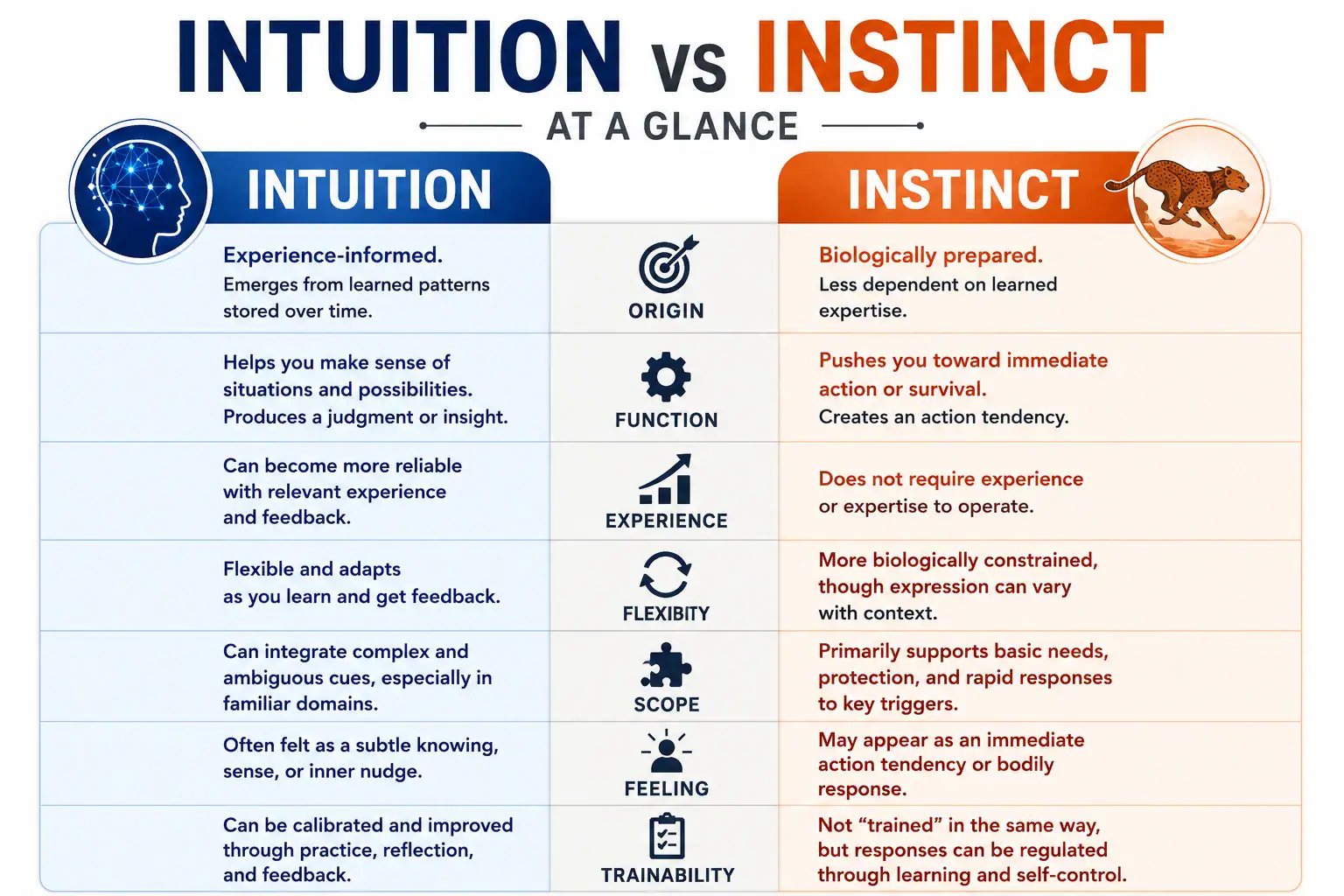 Intuition vs instinct at a glance across origin function experience flexibility scope feeling and trainability