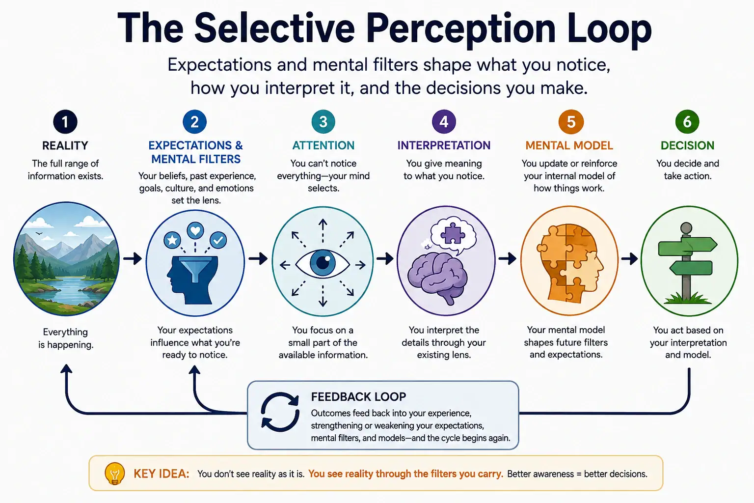 Selective perception loop from reality through expectations, attention, interpretation, mental models, and decisions