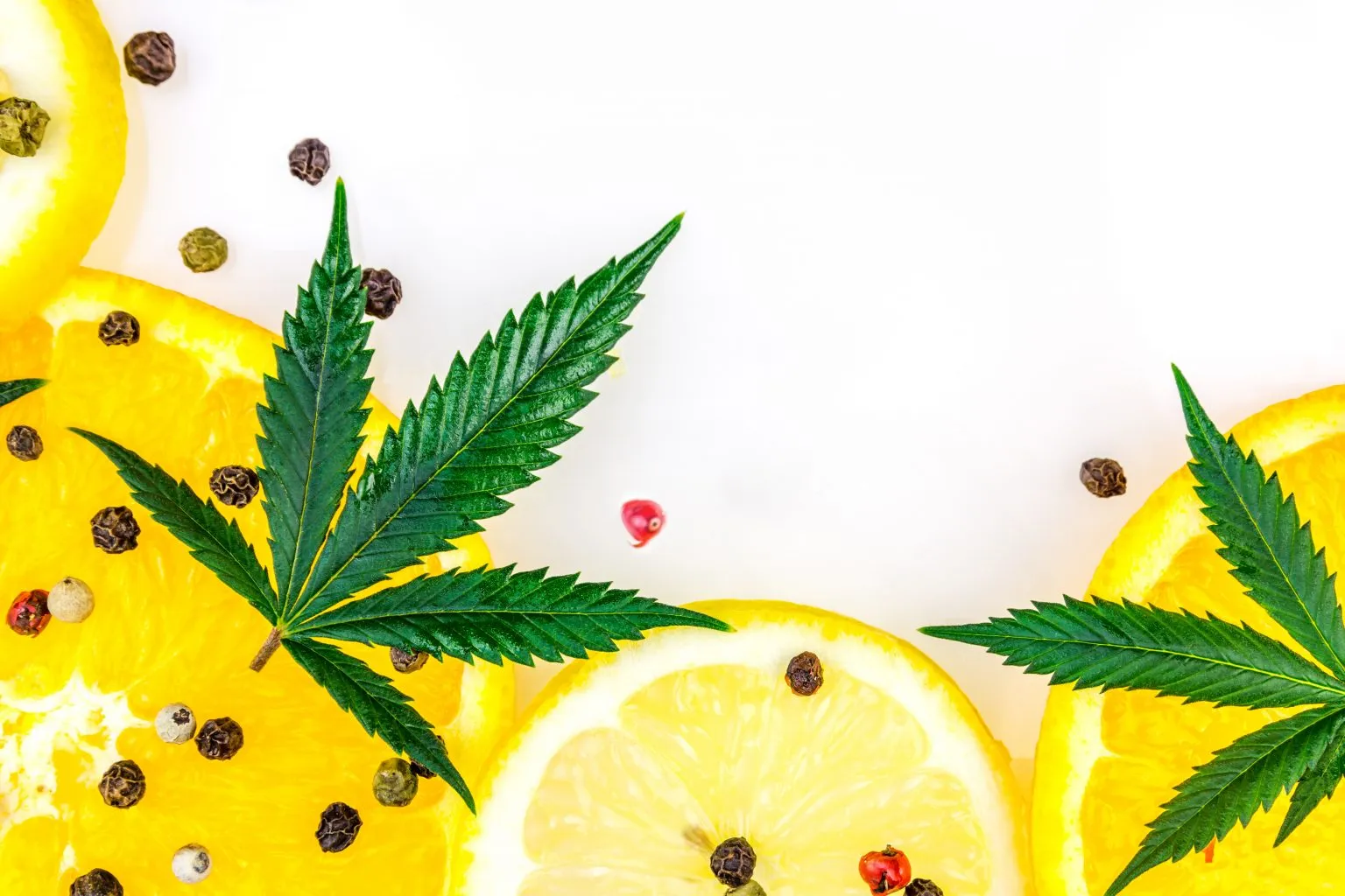 Dispensary Cannabis with Vitamin C