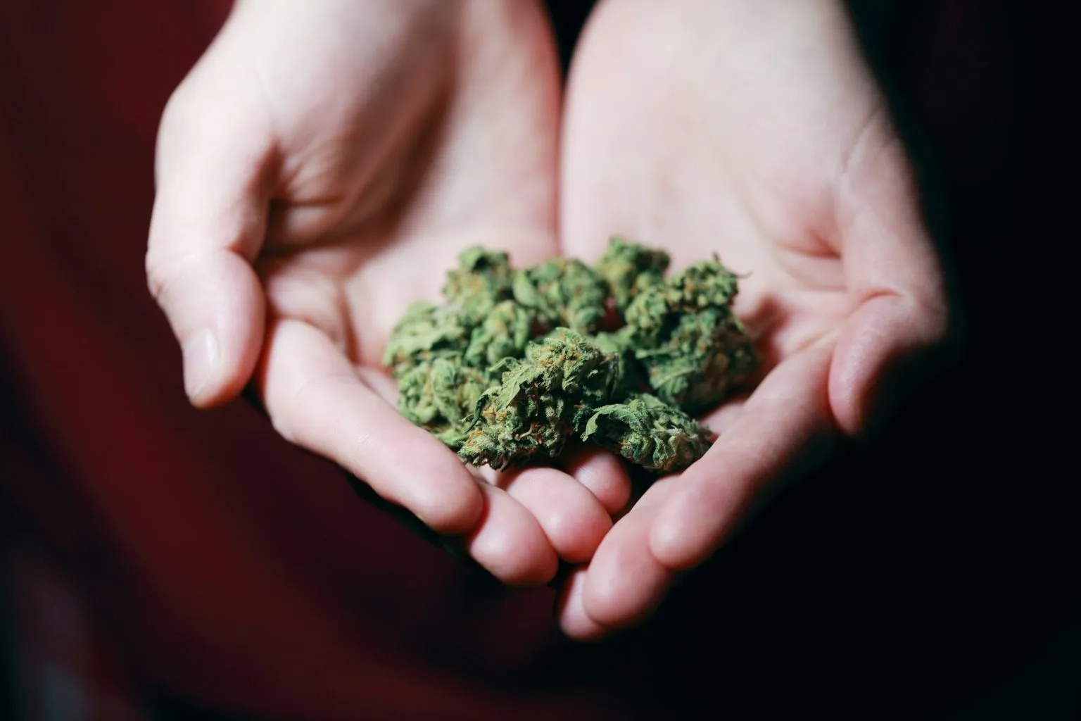 Cannabis Flower Sacramento