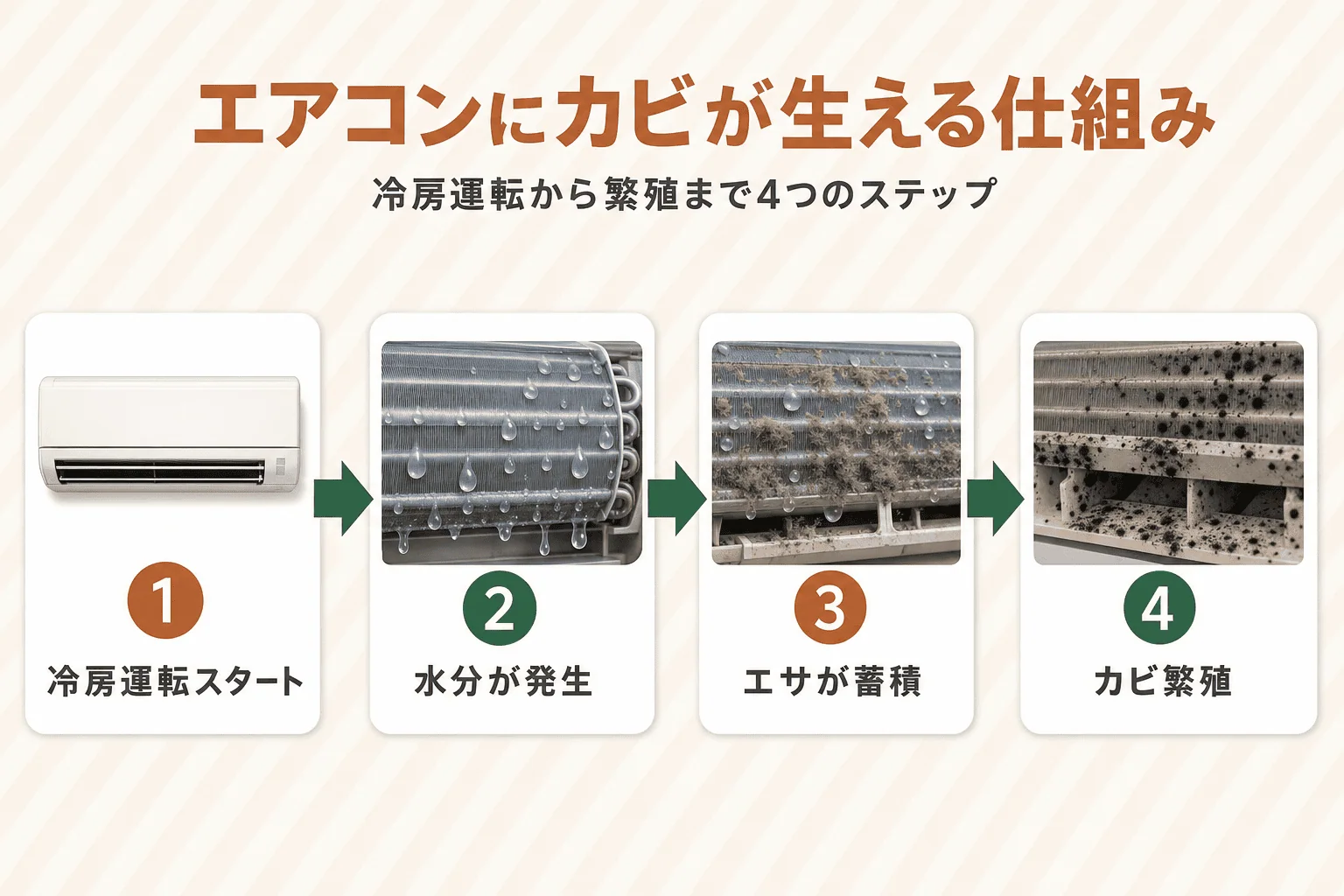 冷房運転でエアコン内部の熱交換器が冷えて結露し、たまった水分とホコリを栄養にカビが発生する4ステップの仕組みを矢印で示したメカニズム図。