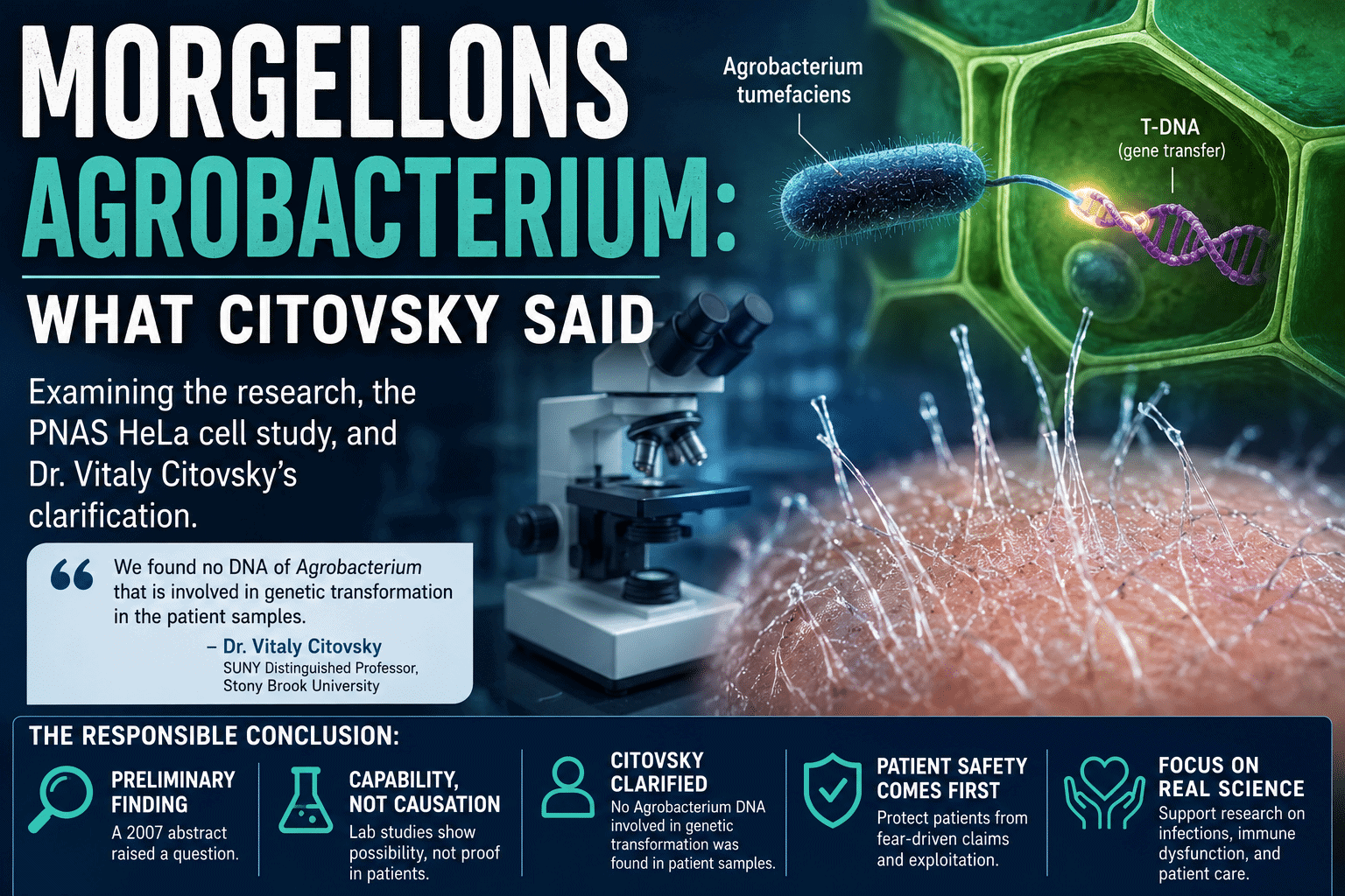 Morgellons Agrobacterium featured image about Dr. Vitaly Citovsky and genetic transformation claims