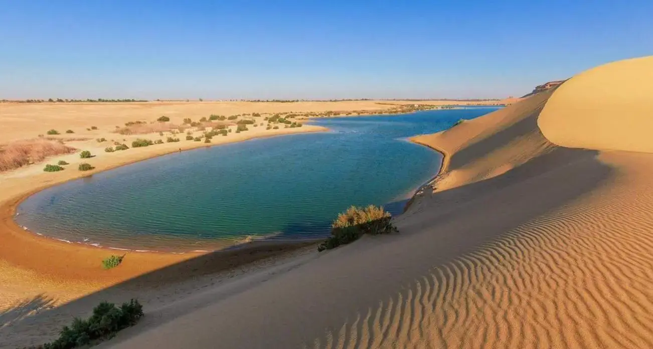 Wadi El Rayan and Whales Valley from Aswan day tour