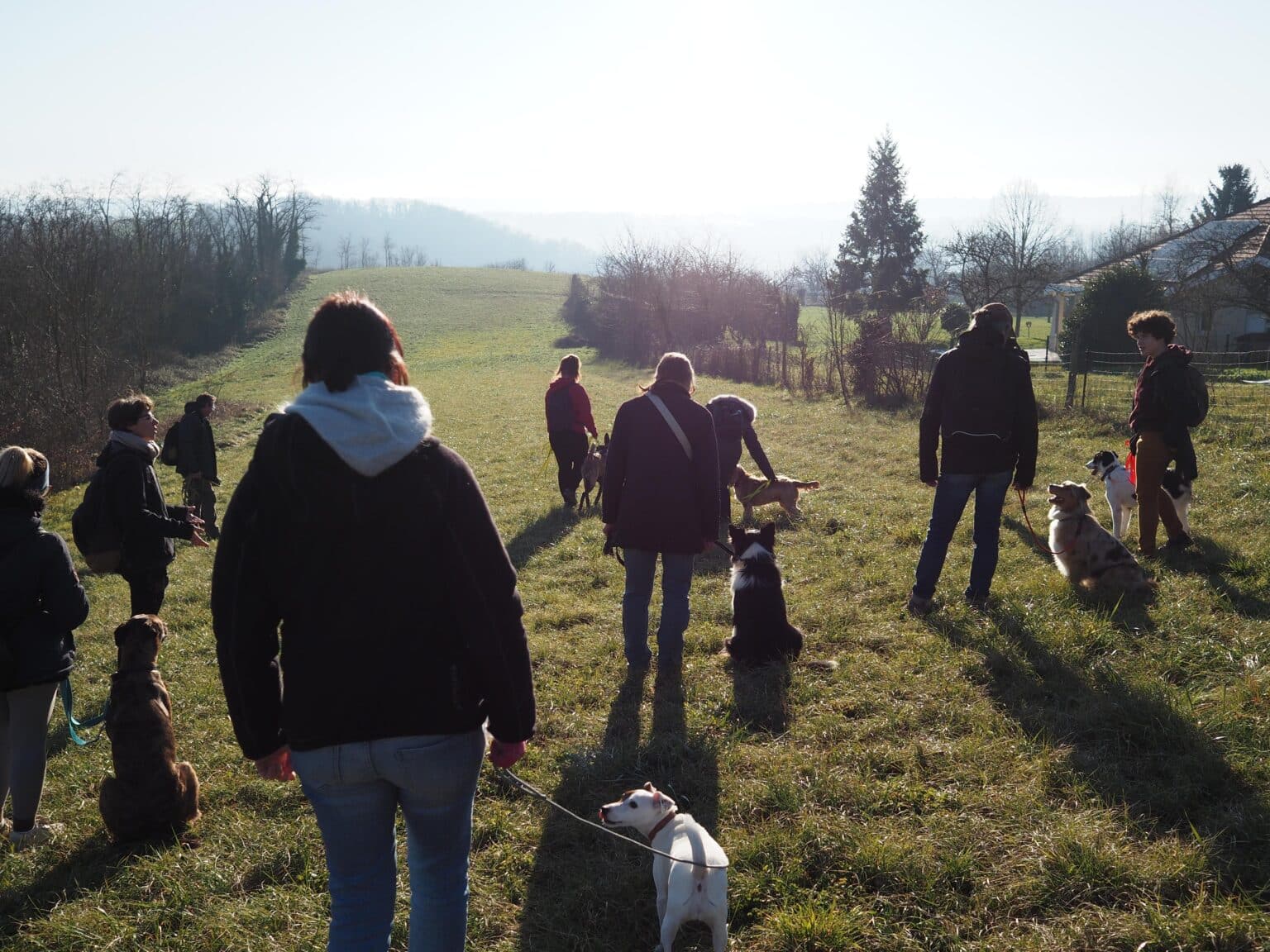 socialisation chiot Bourgoin-Jallieu Lucille Guicherd