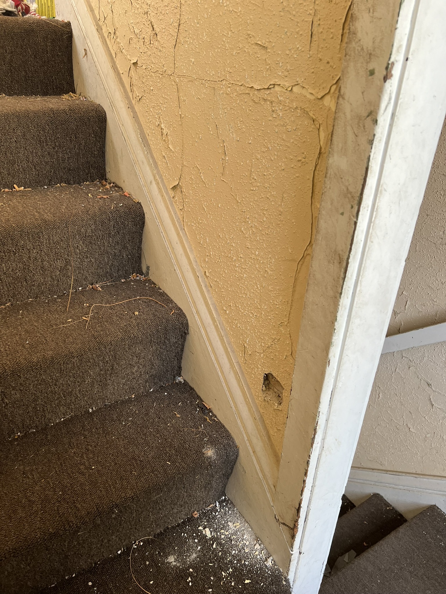 hazardous materials testing of stairway