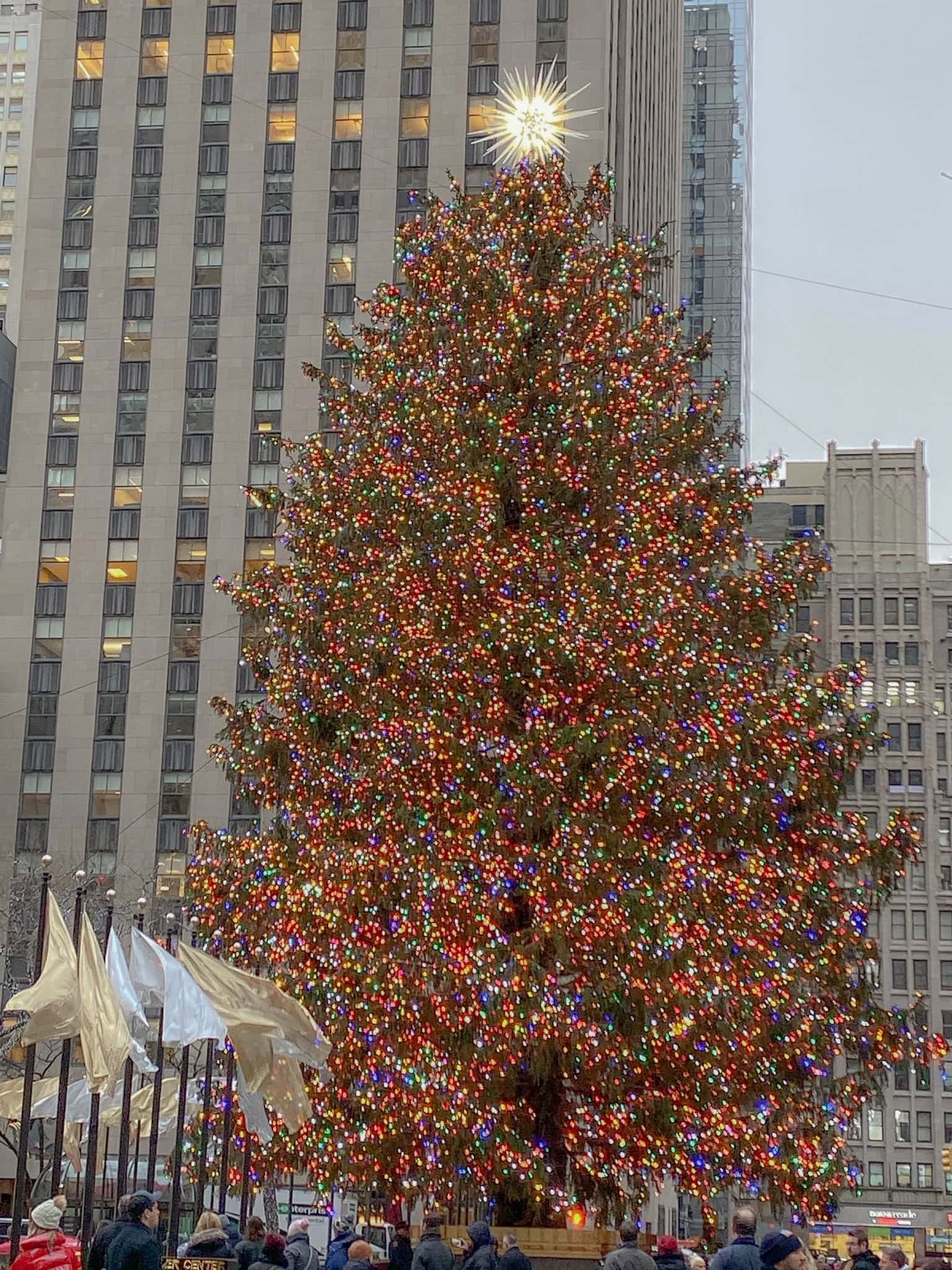 The Rockefeller Christmas tree 2019