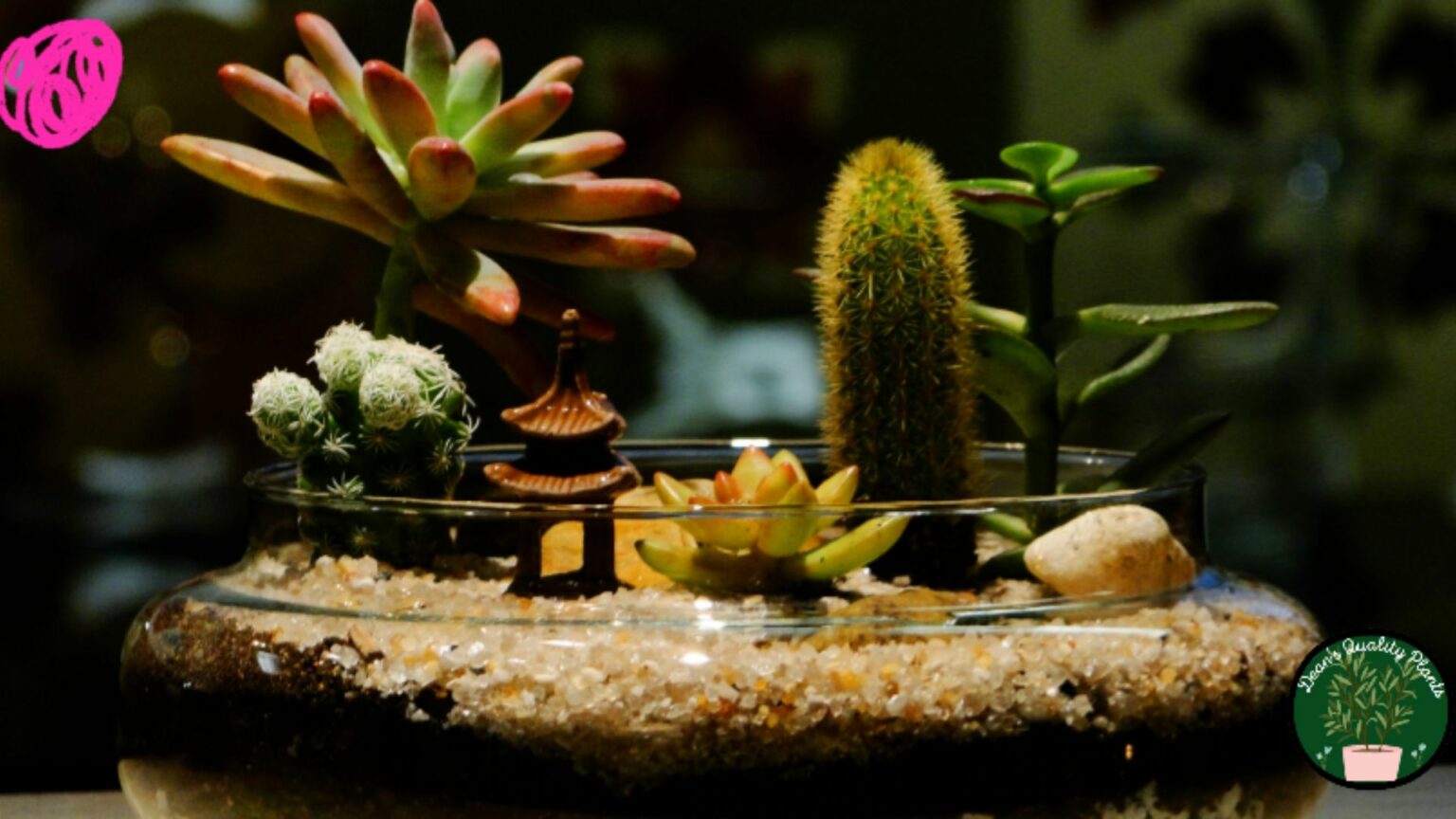Nice Terrarium With logo