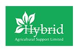 Hybrid