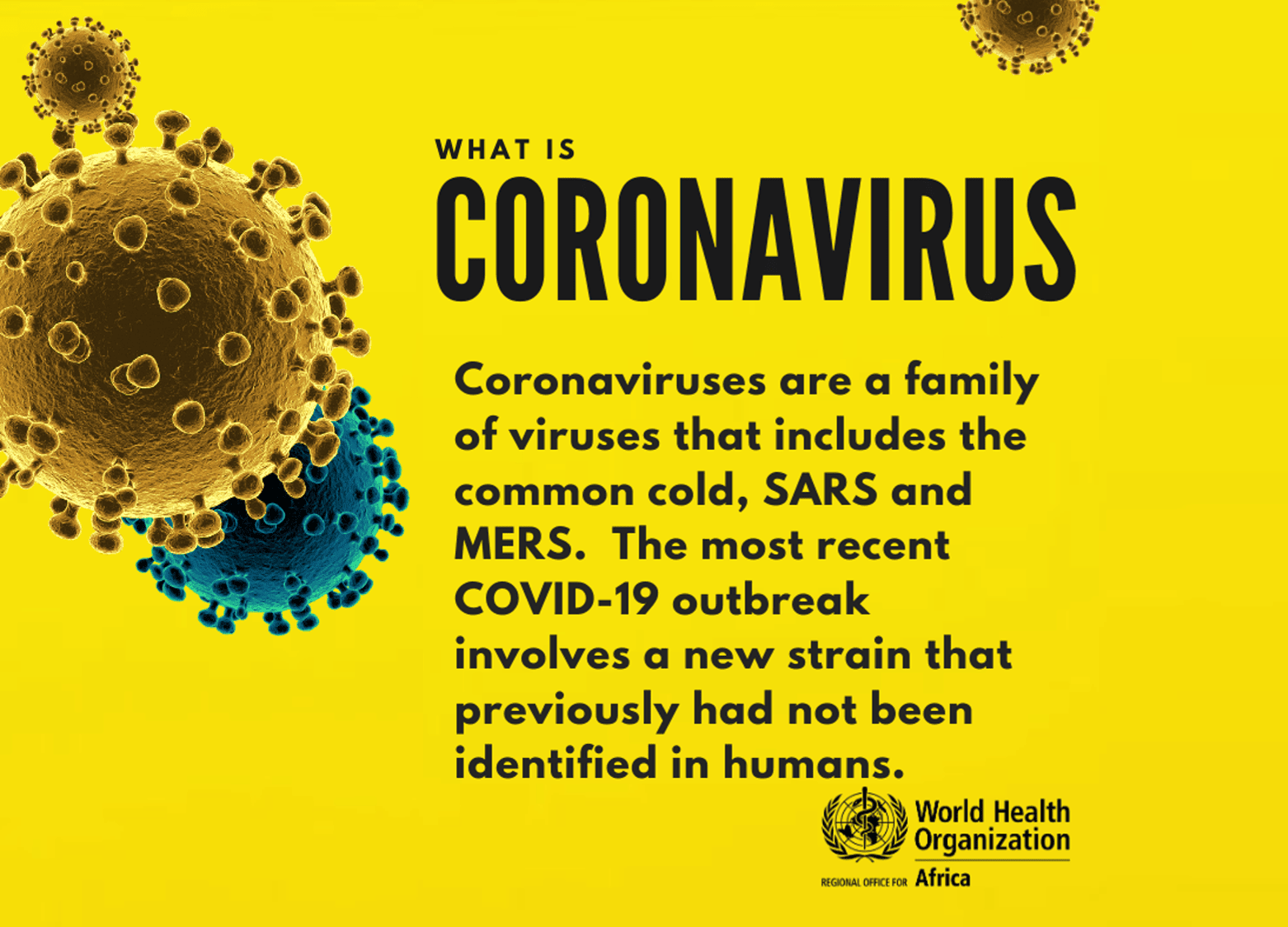 What is COVID-19