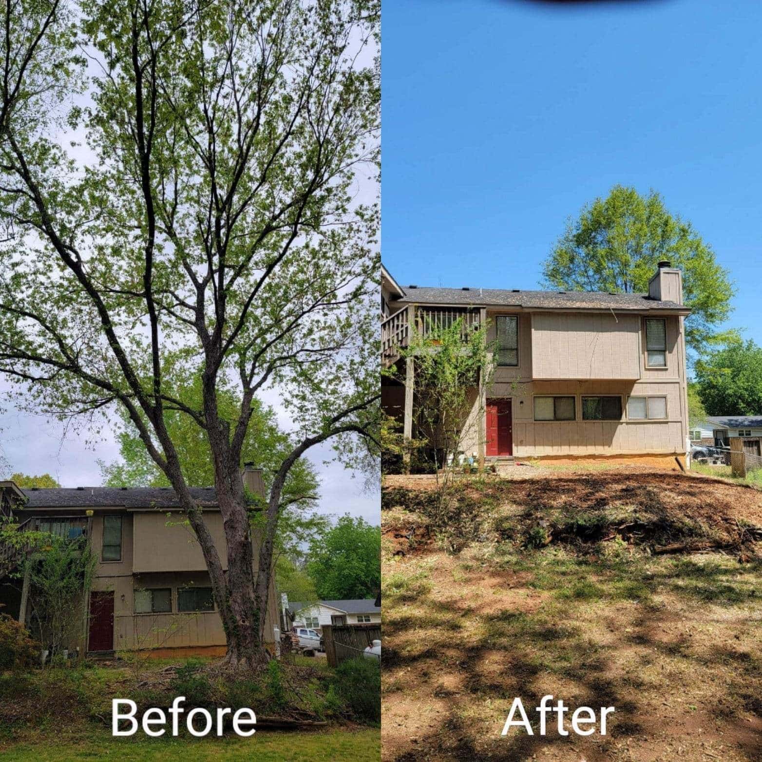 Tree removal project by South Fork Tree Care LLC in the Upstate