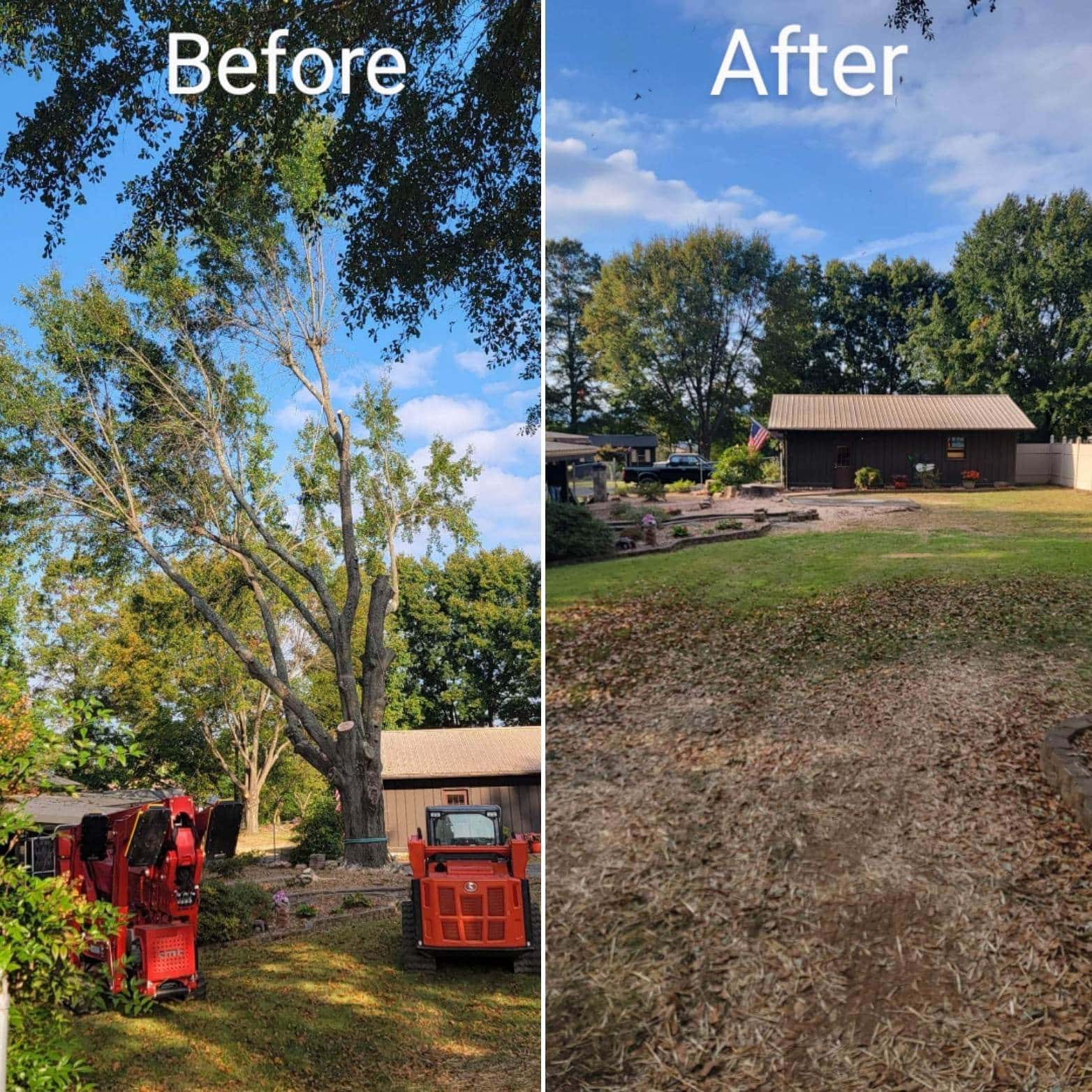 Completed tree care project by South Fork Tree Care LLC