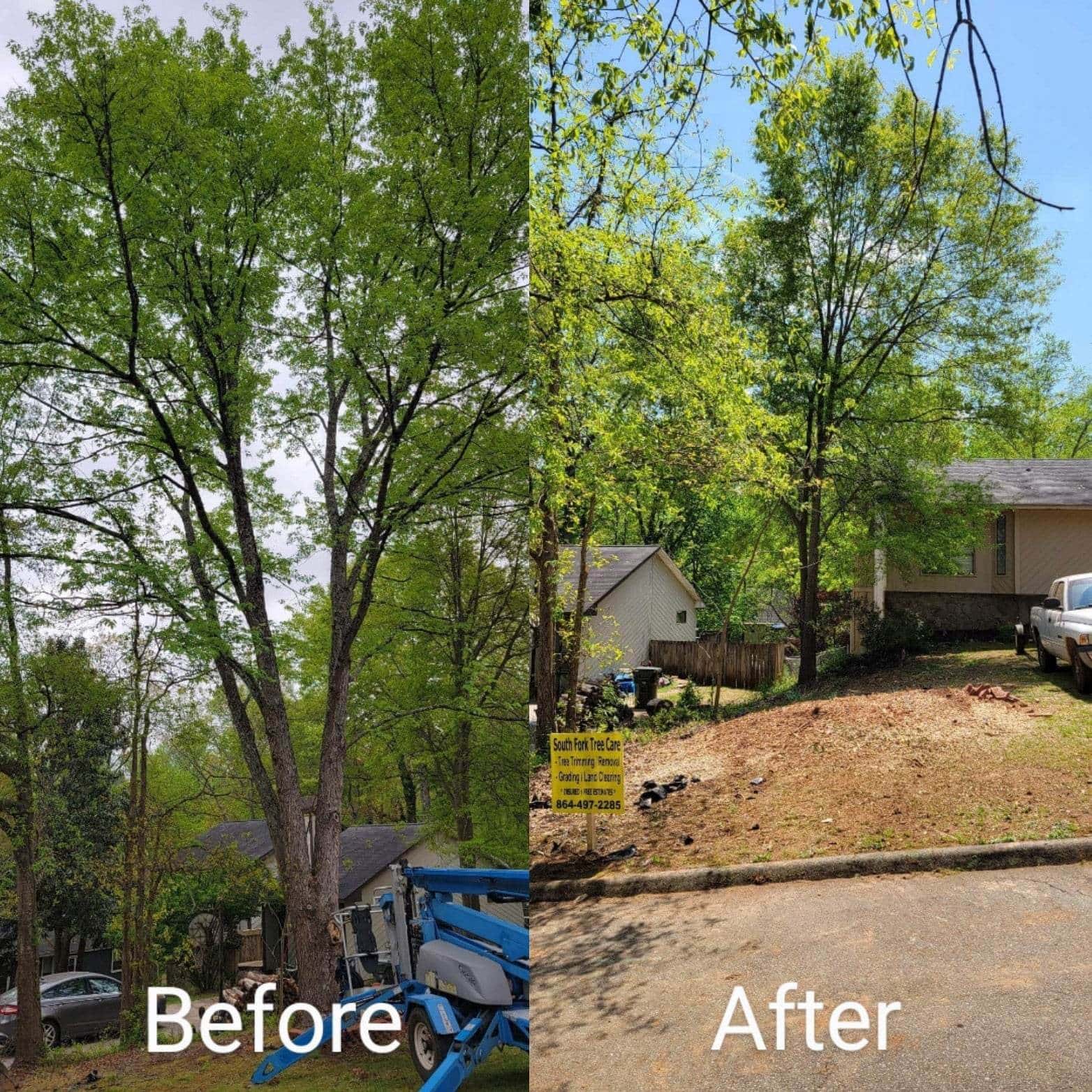 Tree removal and debris cleanup service