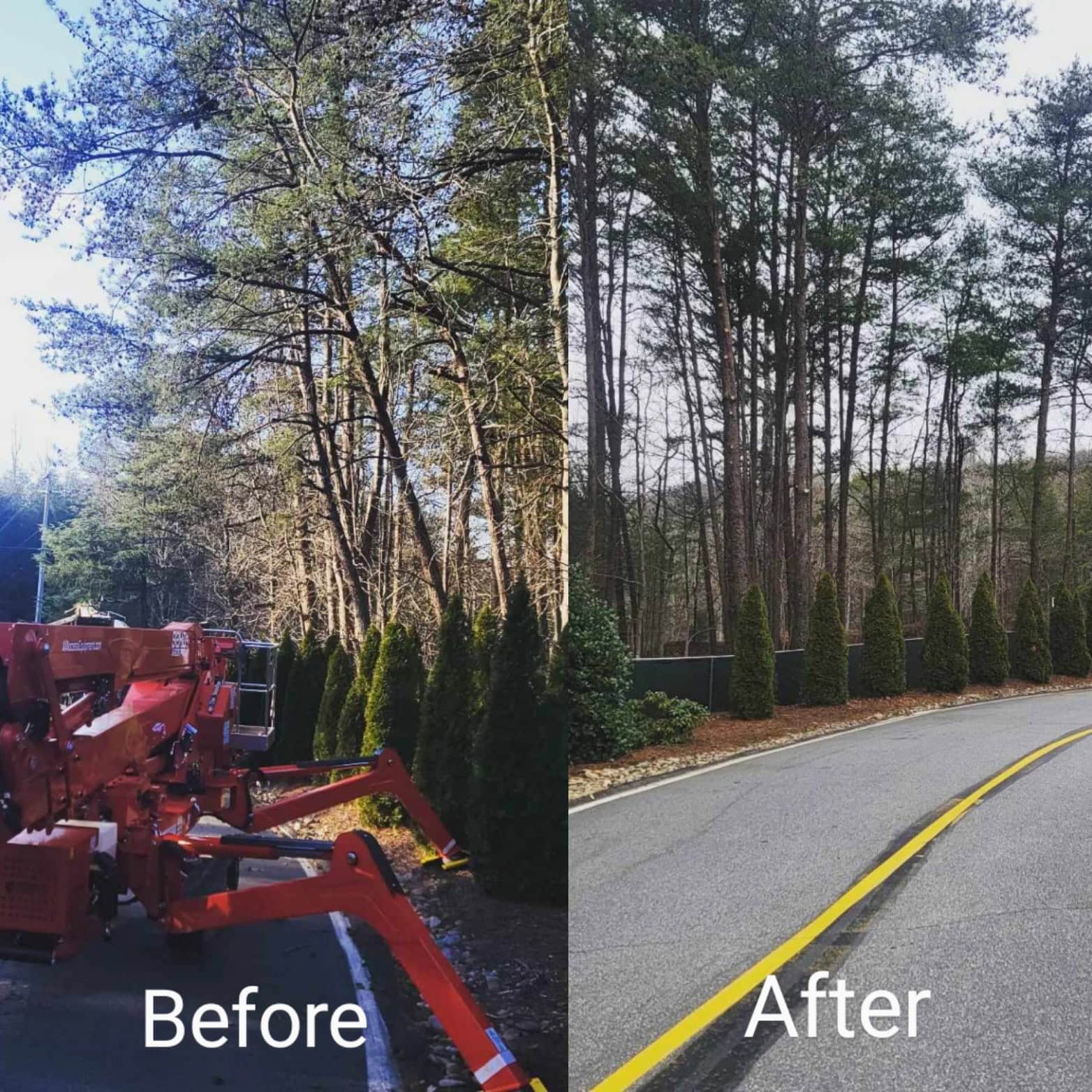 Tree crew working during a service project