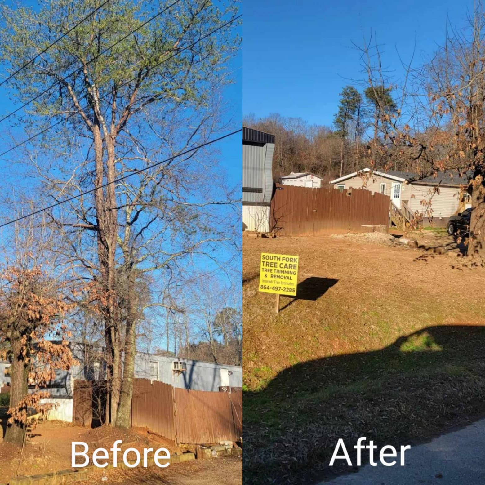 Tree removal equipment and crew on site
