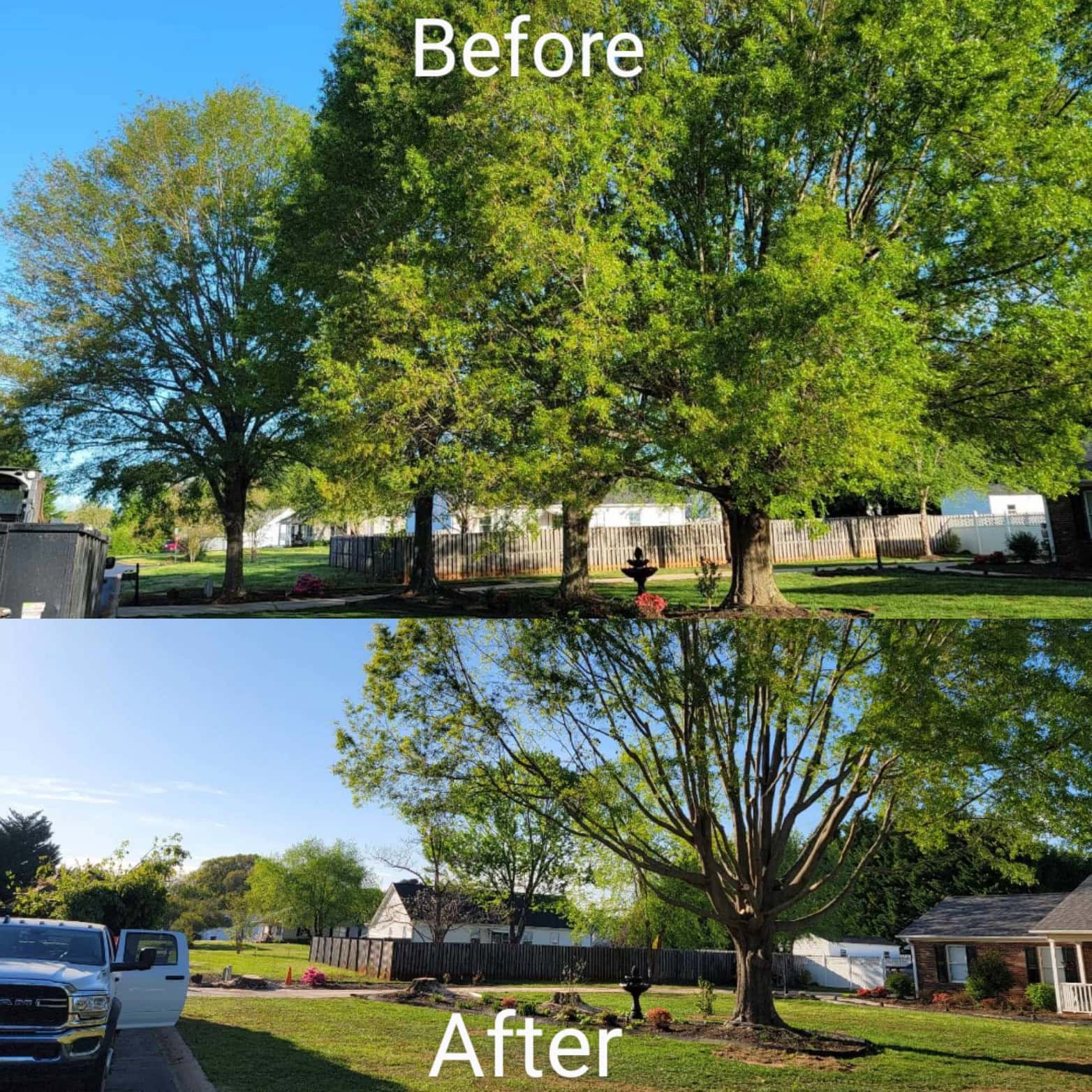 Cleanup completed after a tree removal job