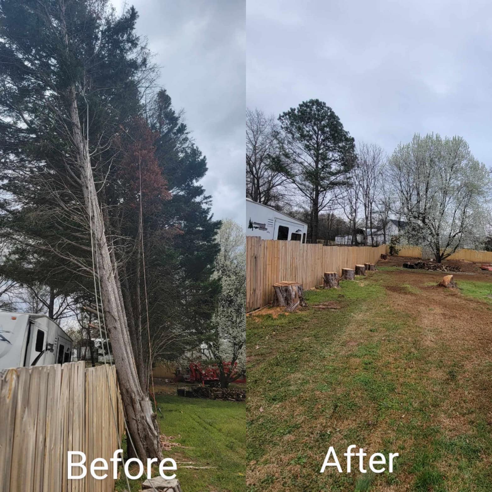Tree service project photo from South Fork Tree Care LLC