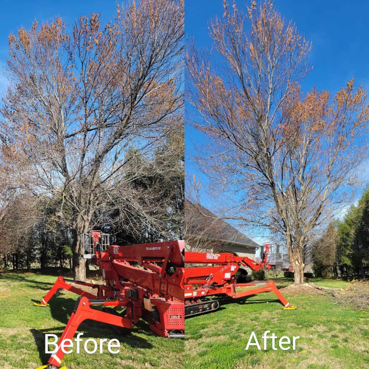 Tree service project photo from South Fork Tree Care LLC