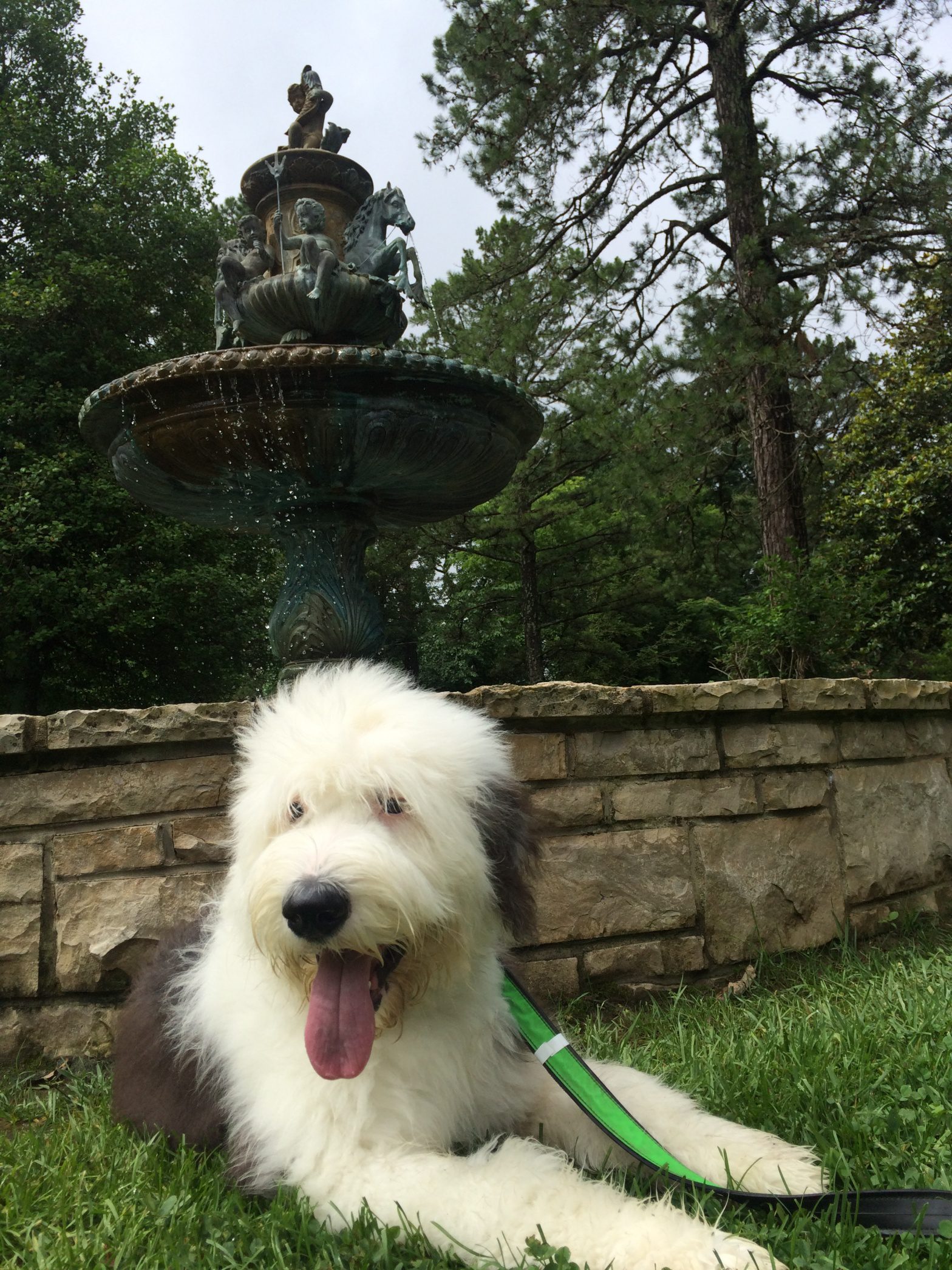 crescent hotel eureka springs dog